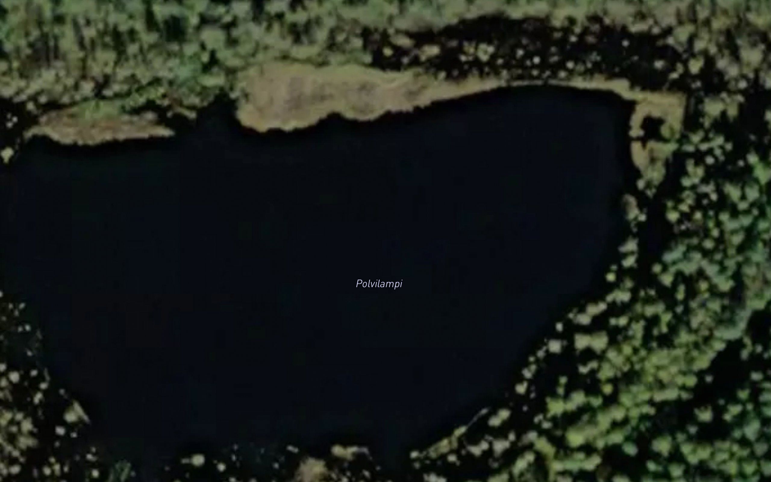 Polvilampi