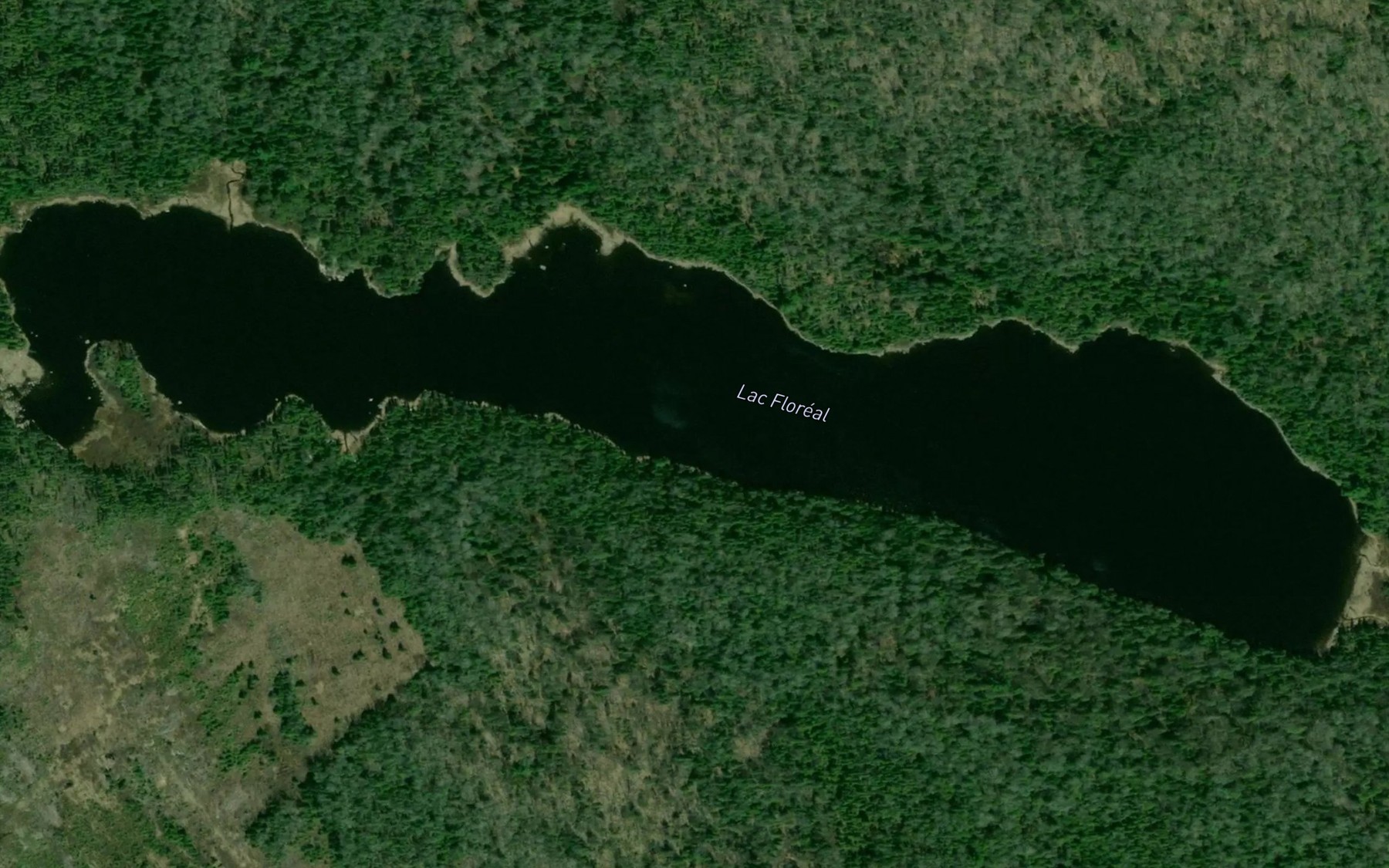 Satellite map of the Lac Floreal