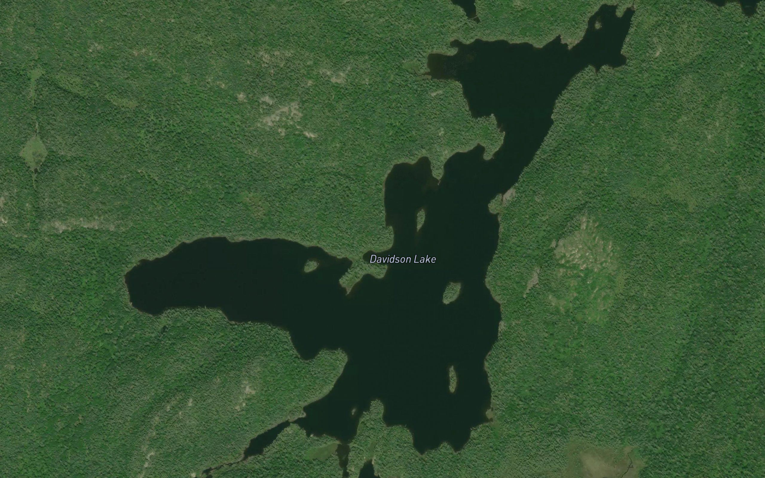 Davidson Lake