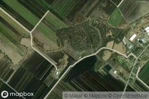 Black Walnut Island Channel