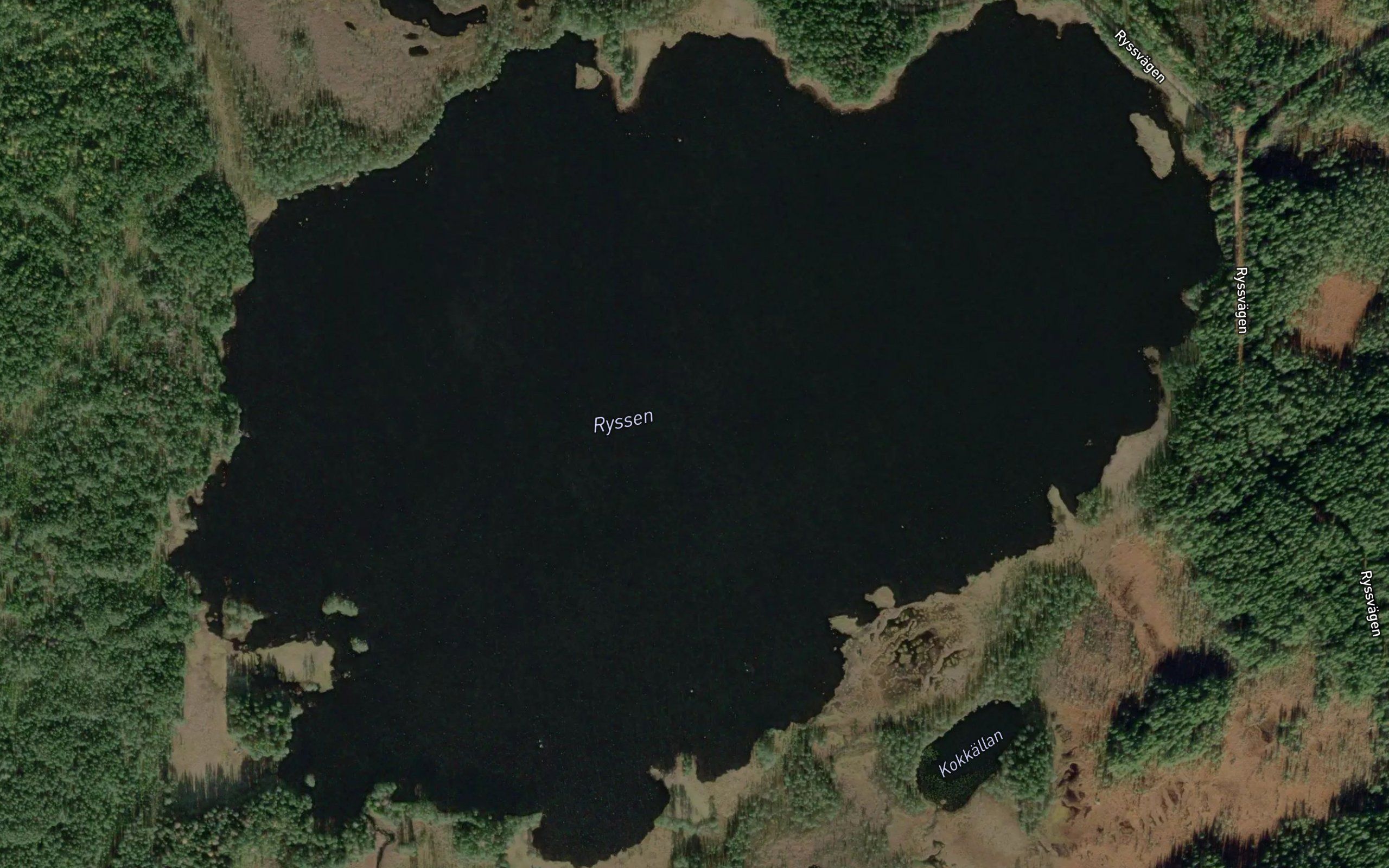 Ryssen
