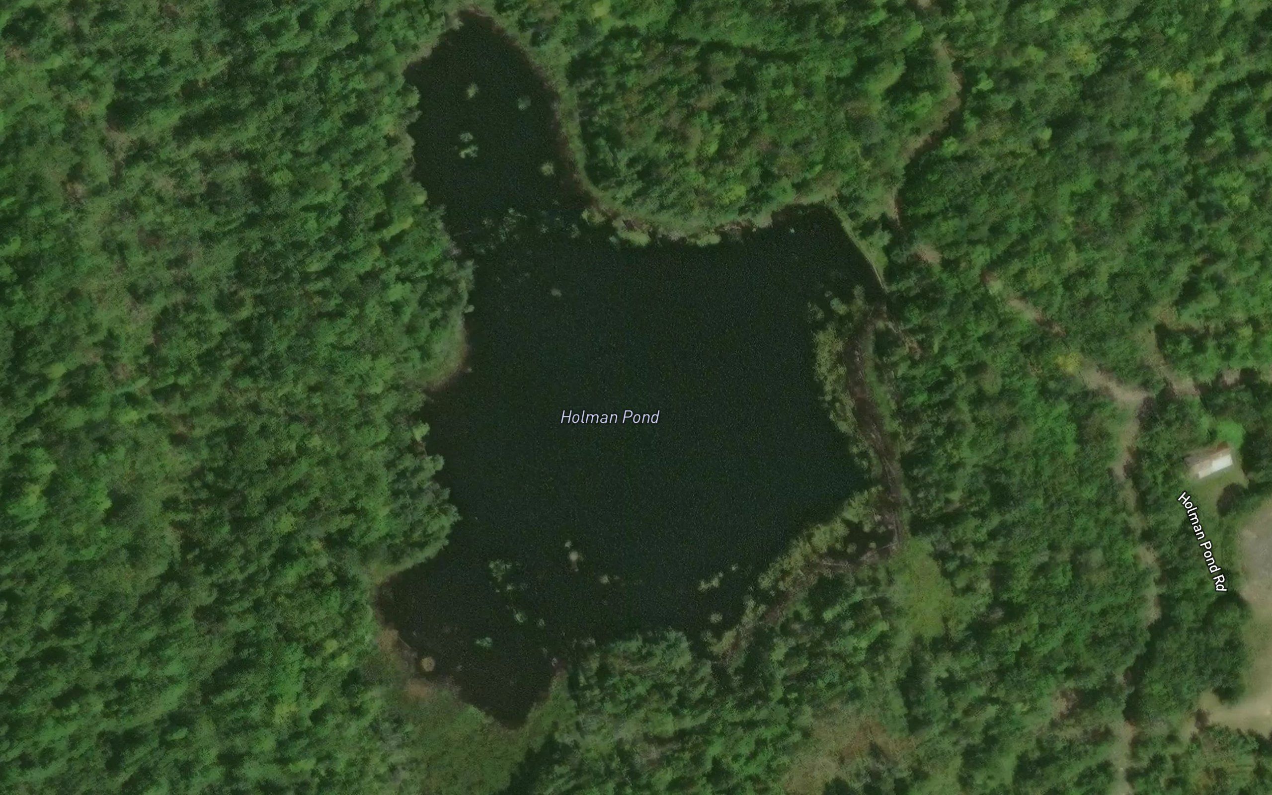 Holman Pond