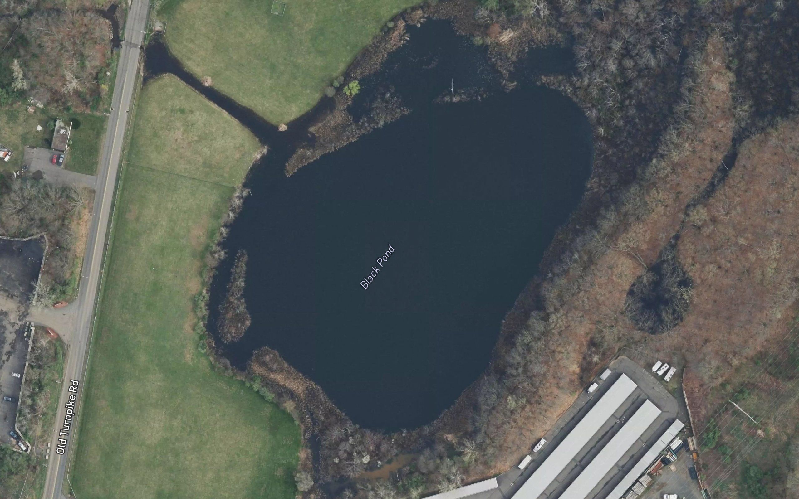 Black Pond