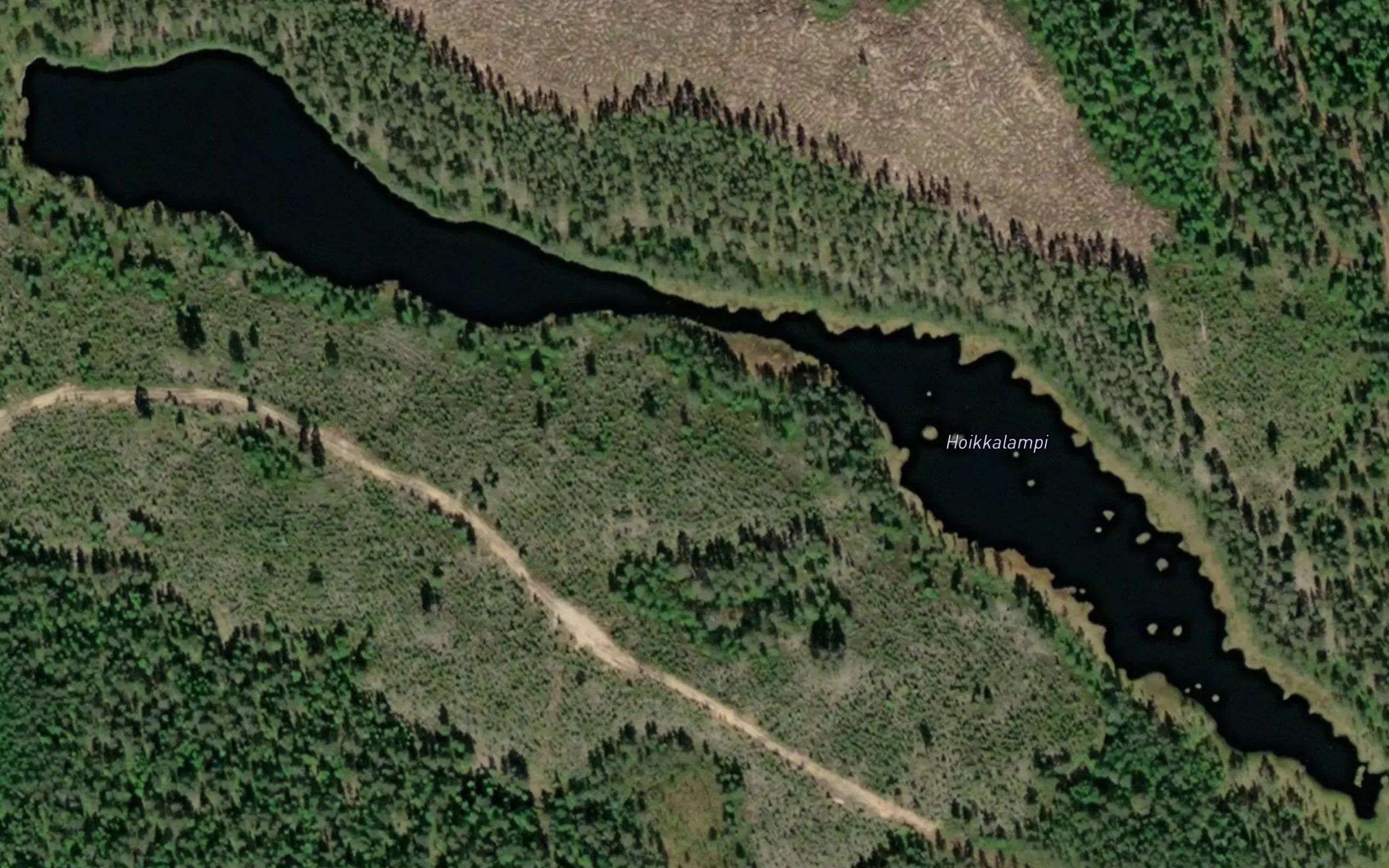 Hoikkalampi