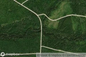 North Branch Campbell Brook