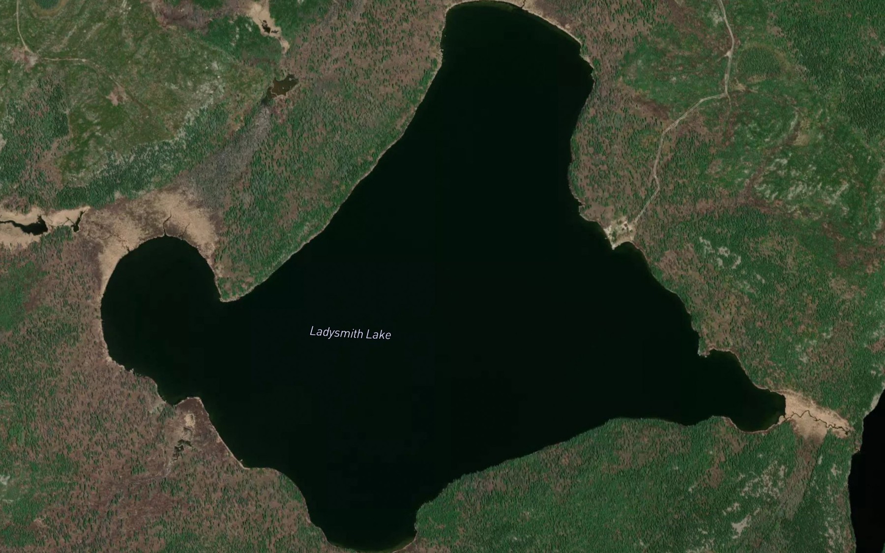 Satellite map of the Ladysmith Lake