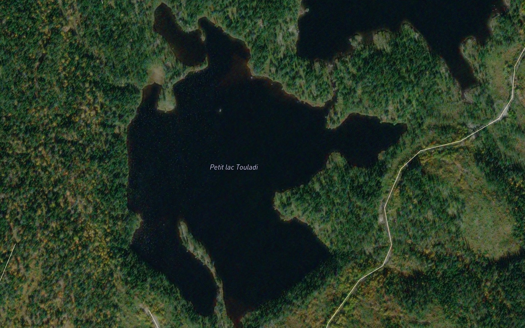 Satellite map of the Petit lac Touladi