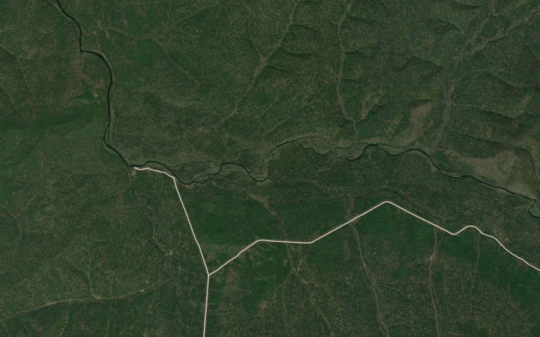 Satellite map of the Shumnyy