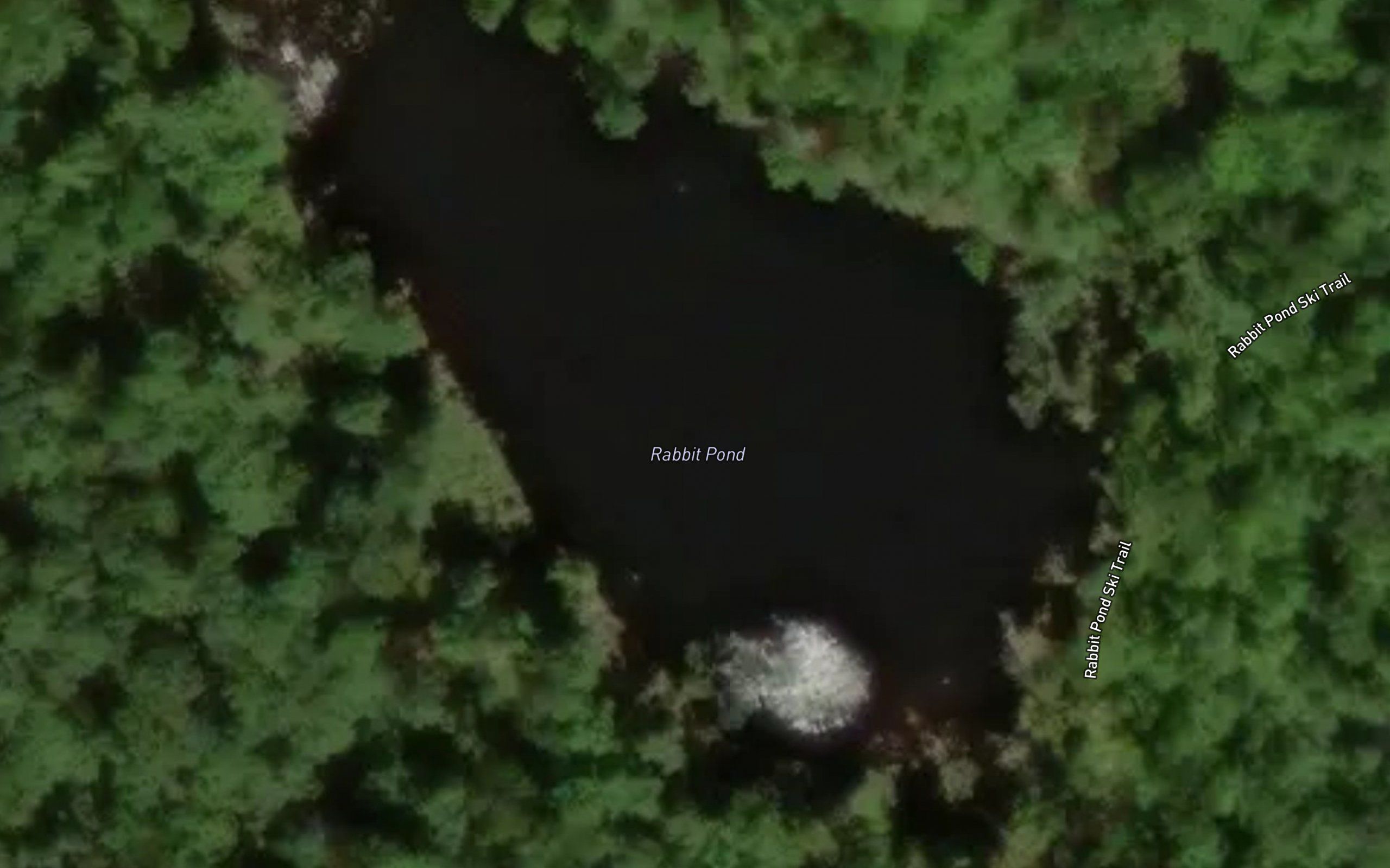 Rabbit Pond
