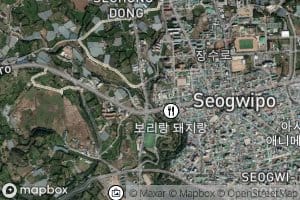 Seohongcheon