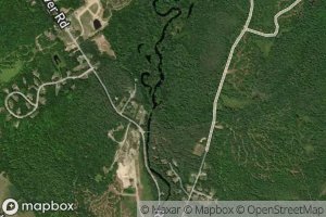 Satellite map of the Burgess Brook