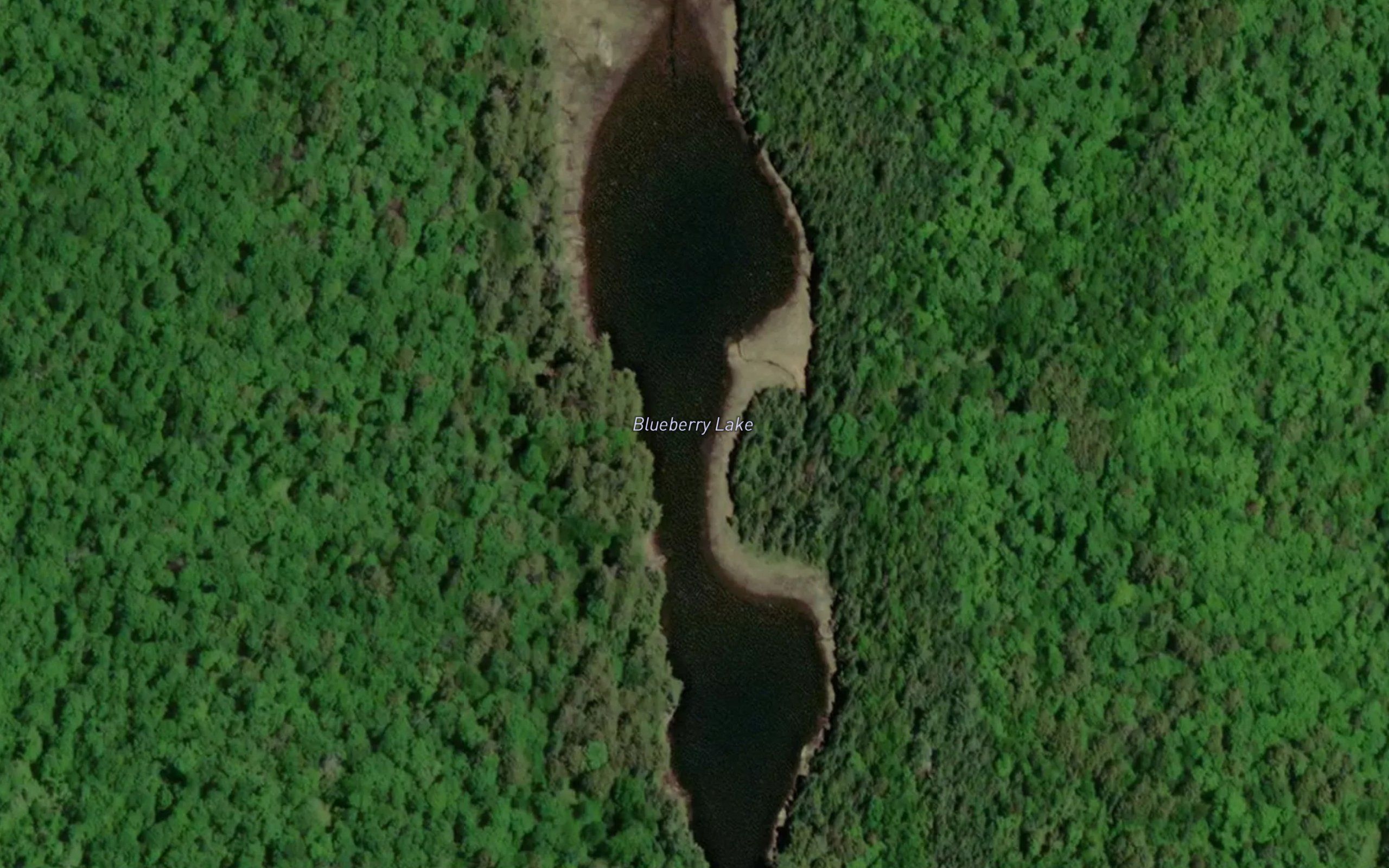 Blueberry Lake