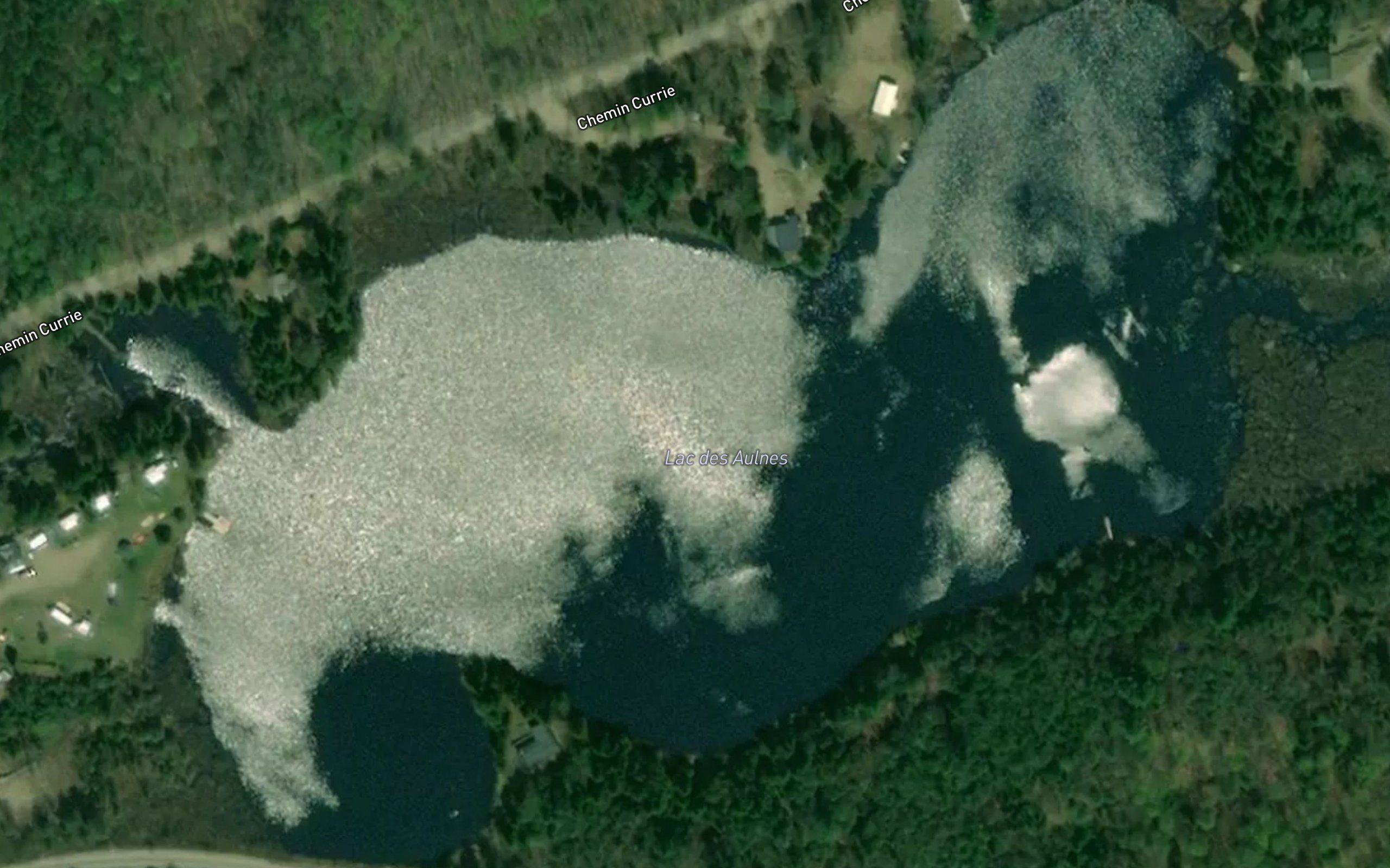 Lac des Aulnes