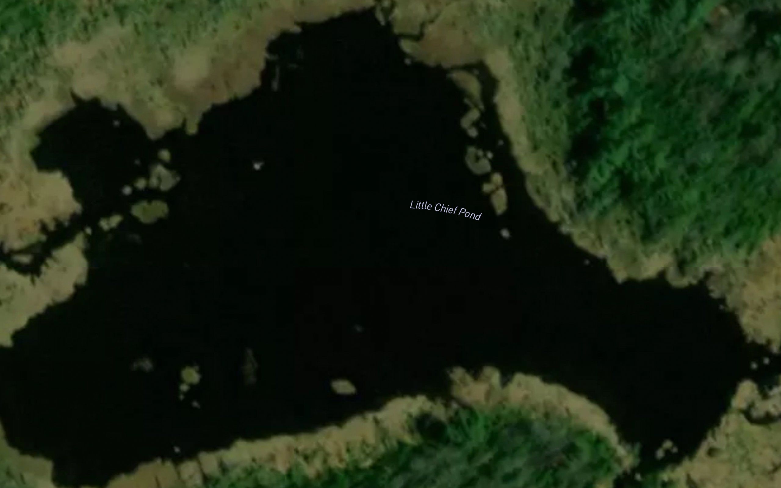 Little Chief Pond