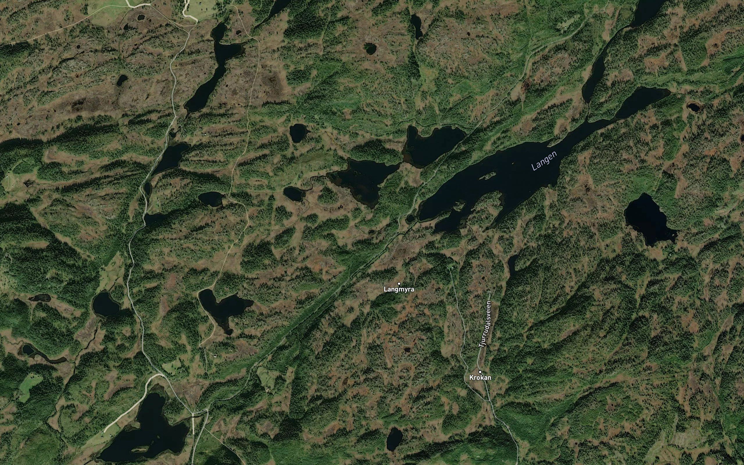Piptjonna