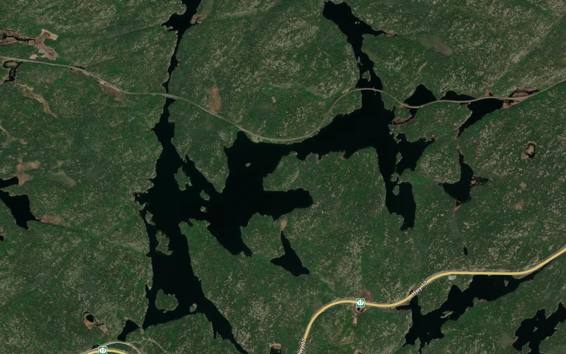 Satellite map of the Trout Lake