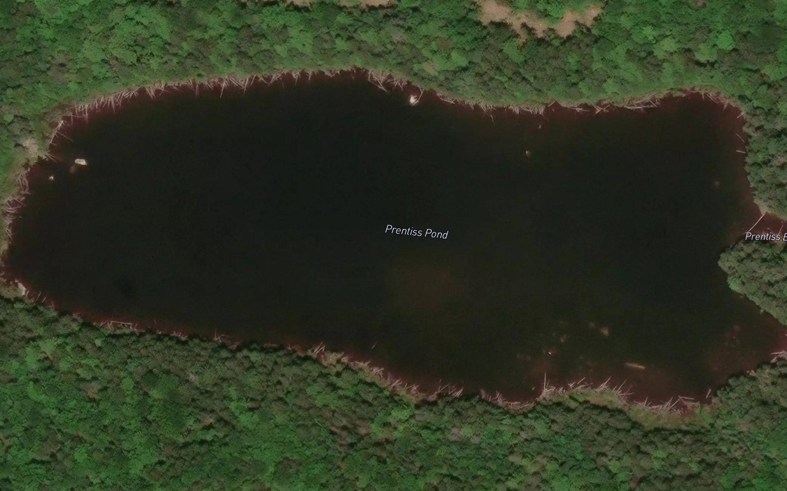 Prentiss Pond