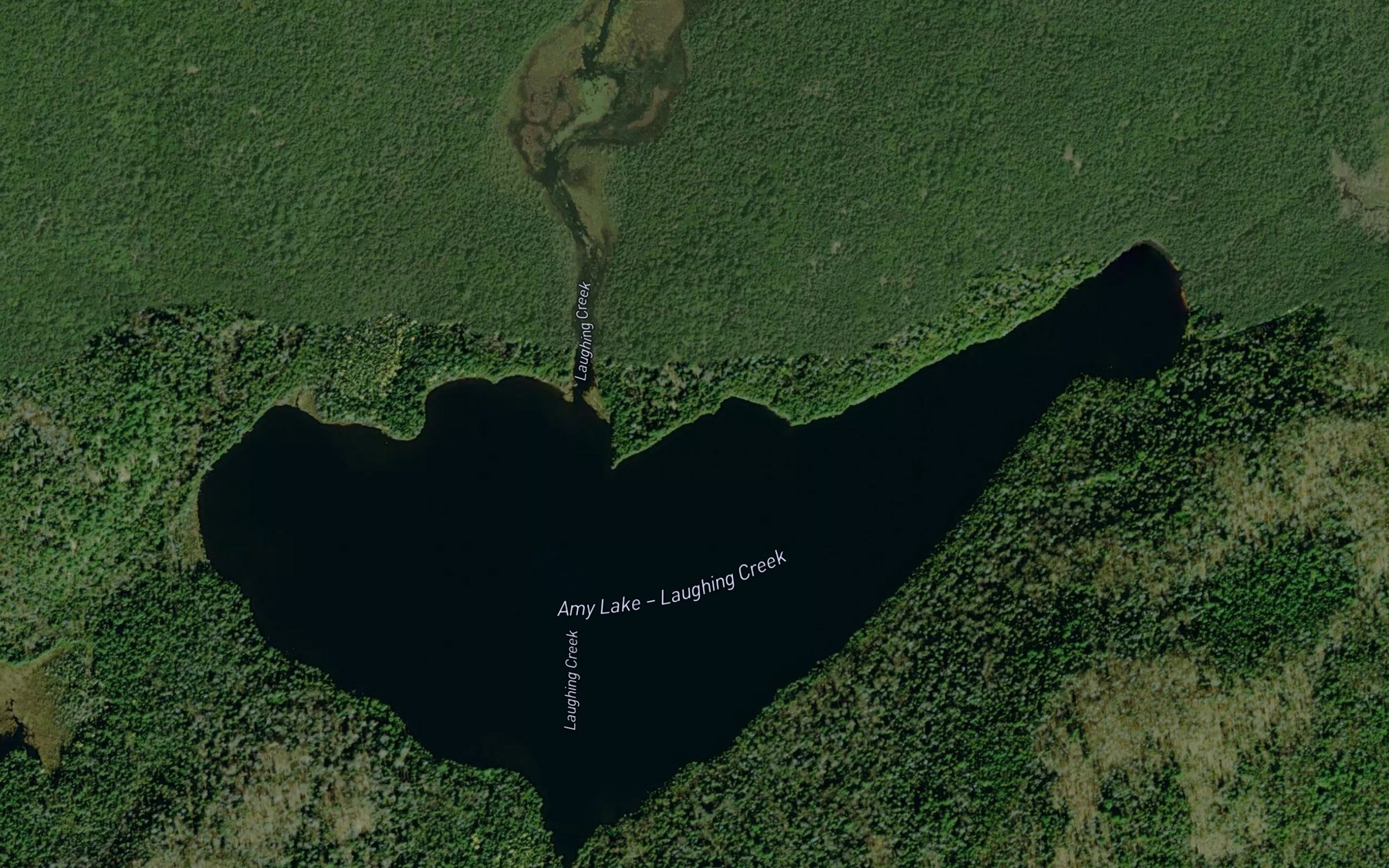 Satellite map of the Amy Lake
