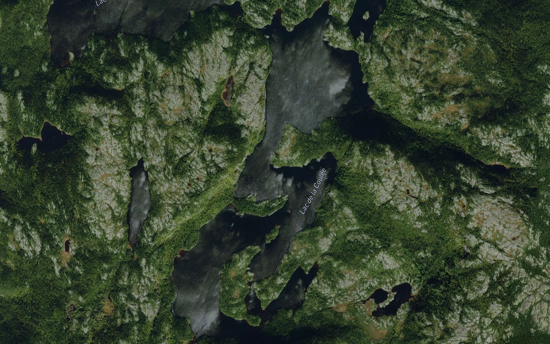 Satellite map of the Lac de la Coulee