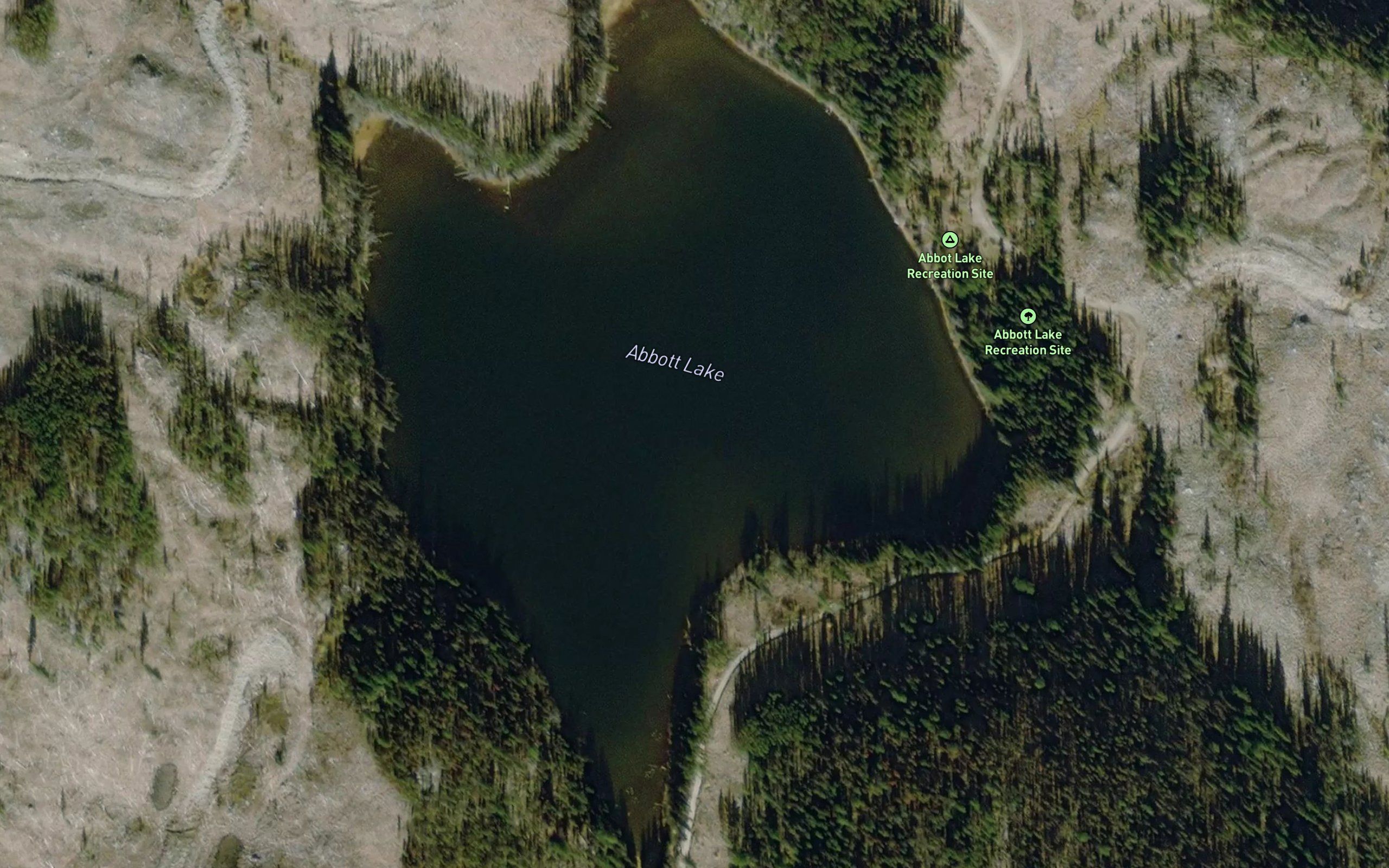 Abbott Lake