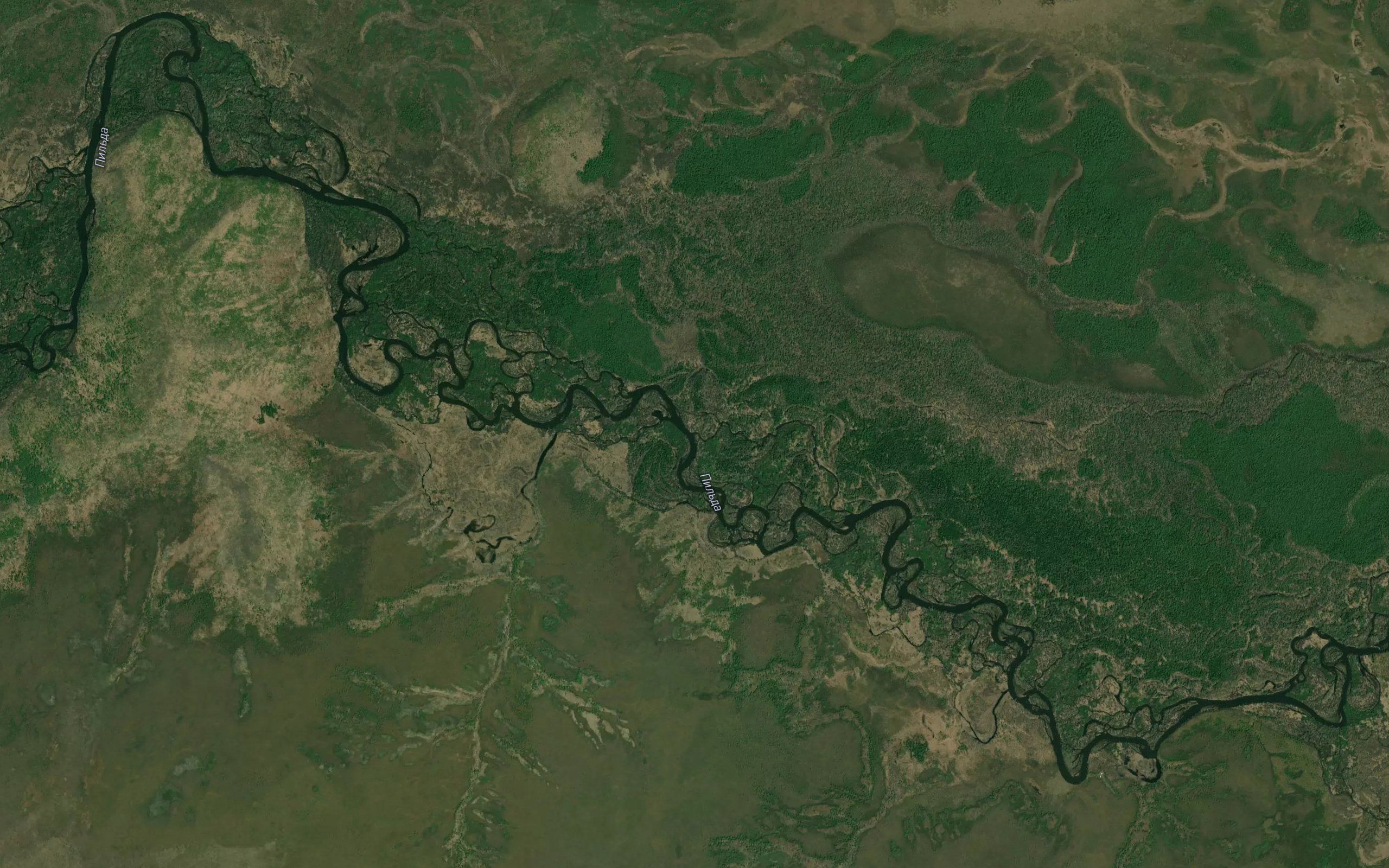 Protoka Izvilistaya