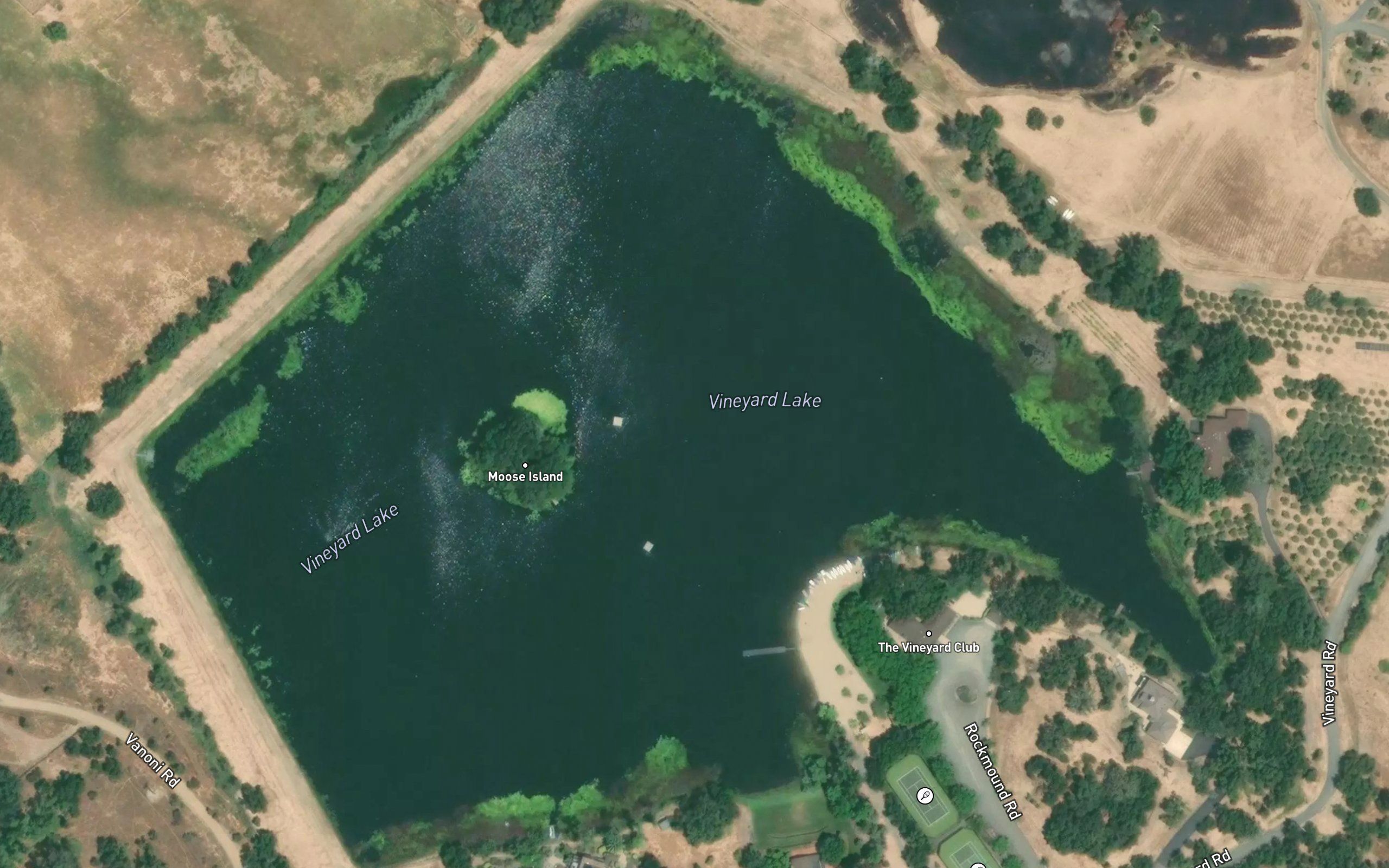 Vineyard Lake
