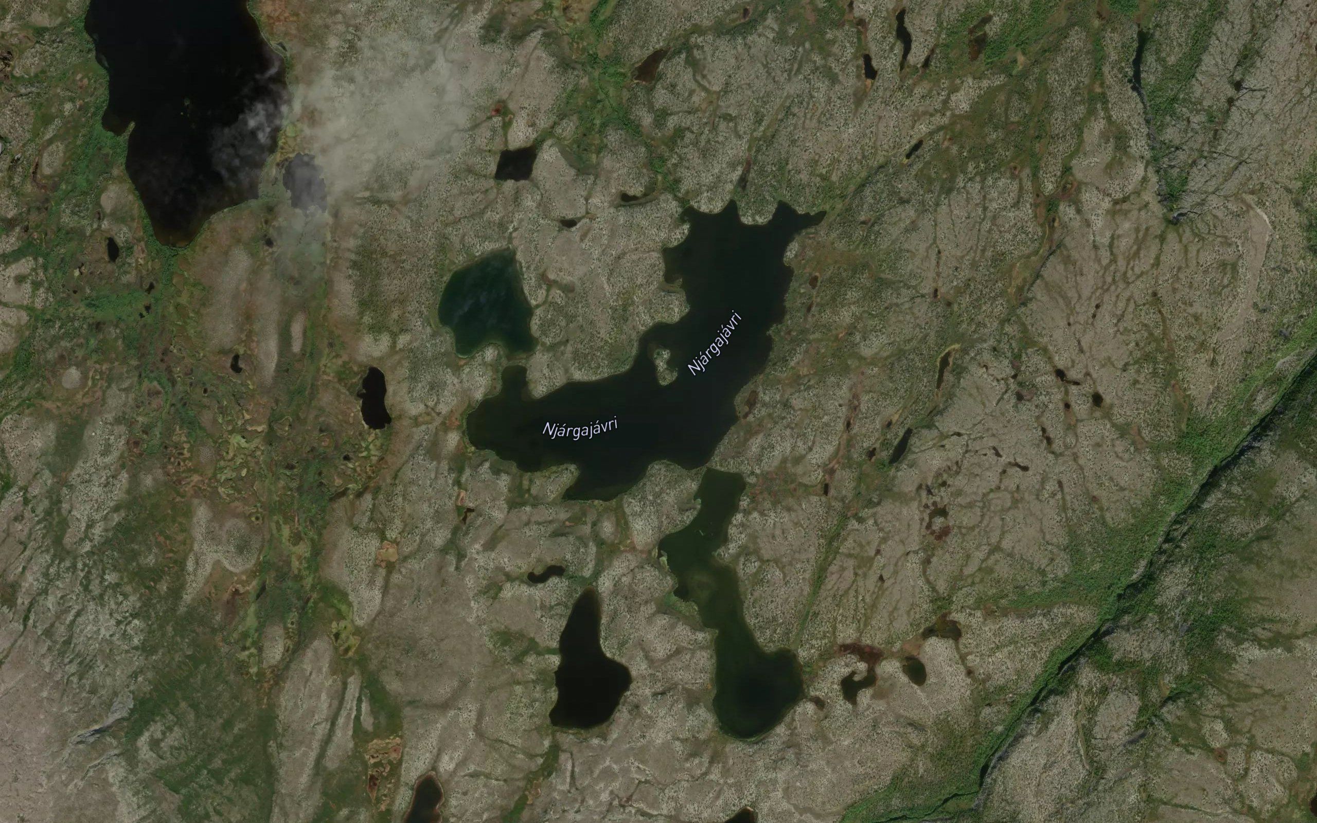 Njargajavri