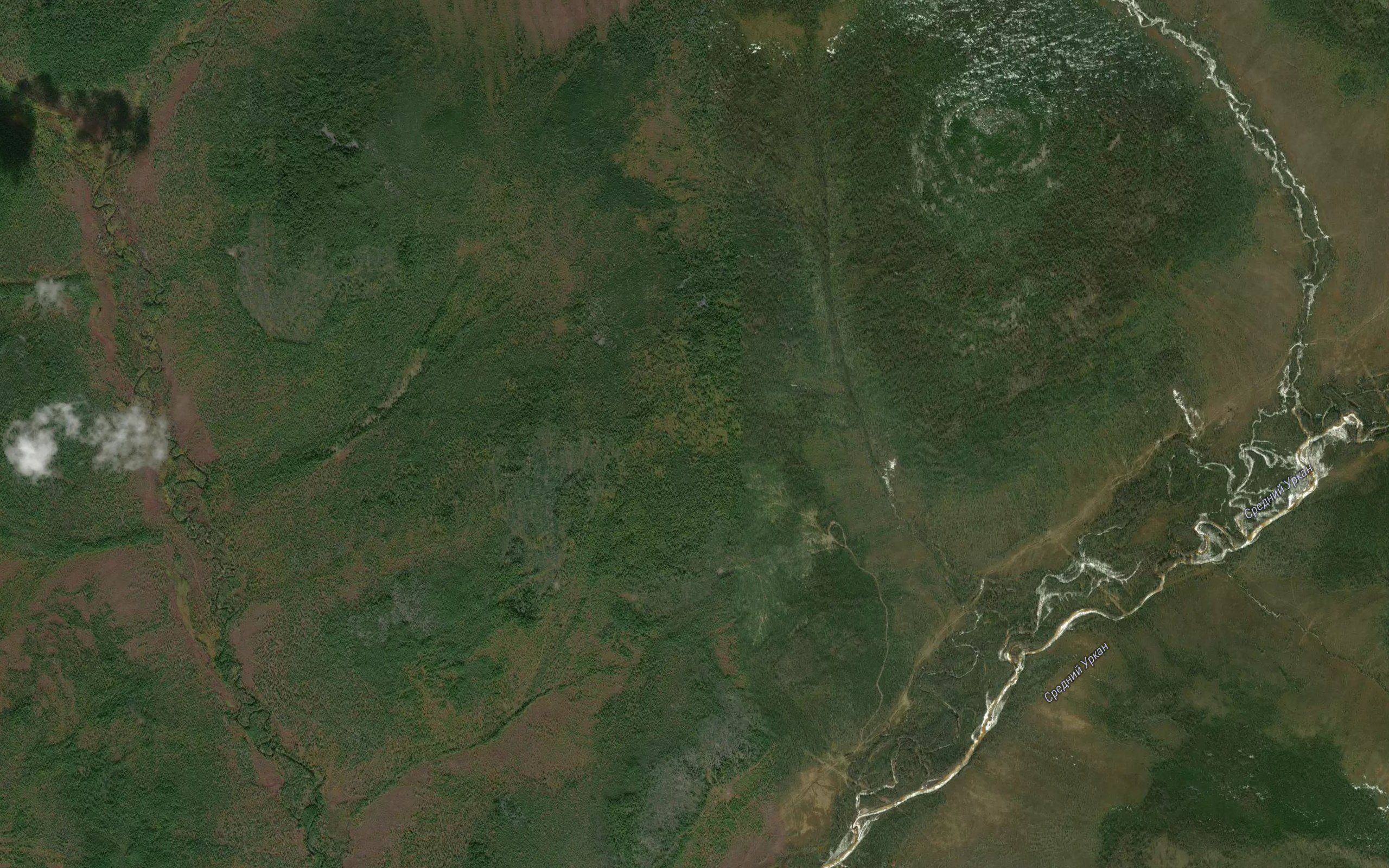 Tokola