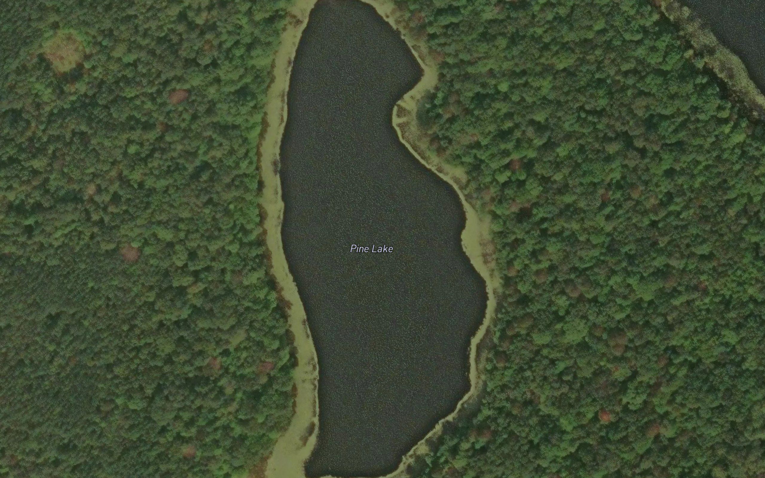 Pine Lake