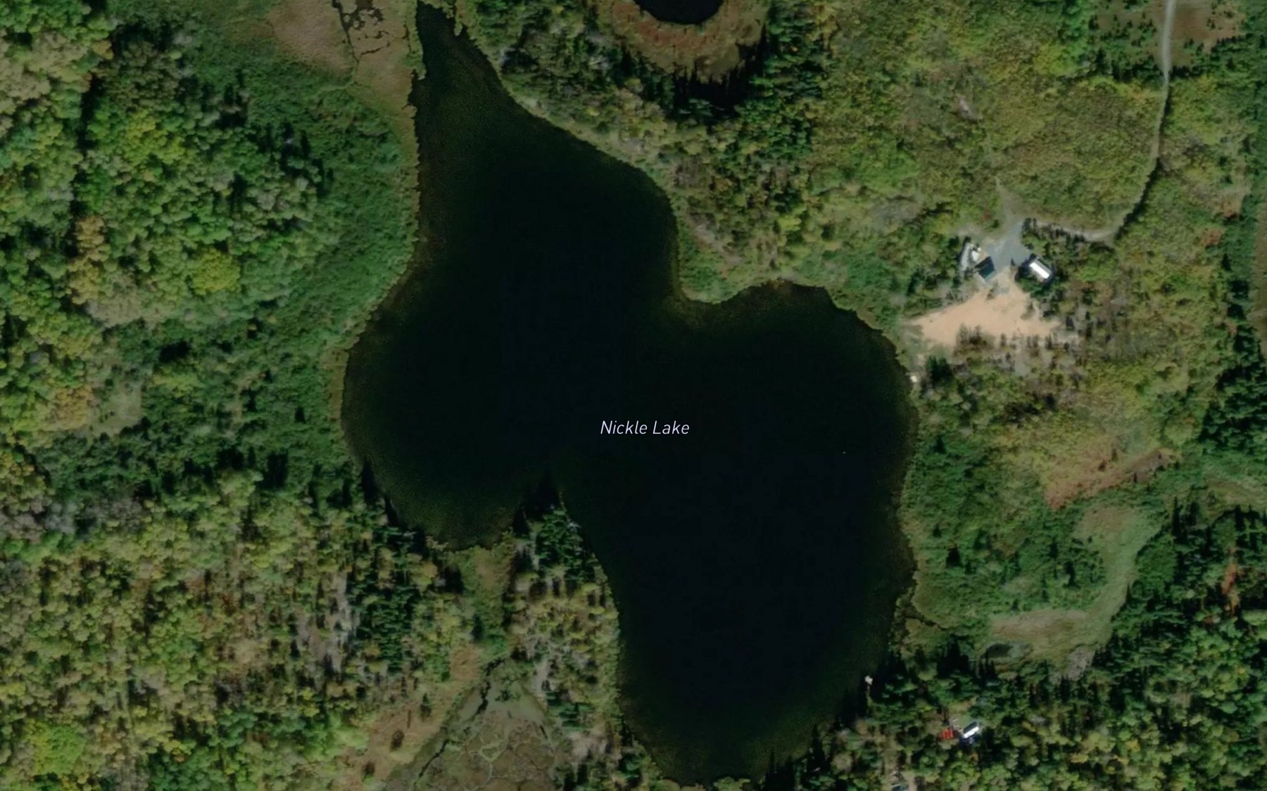 Satellite map of the Nickle Lake