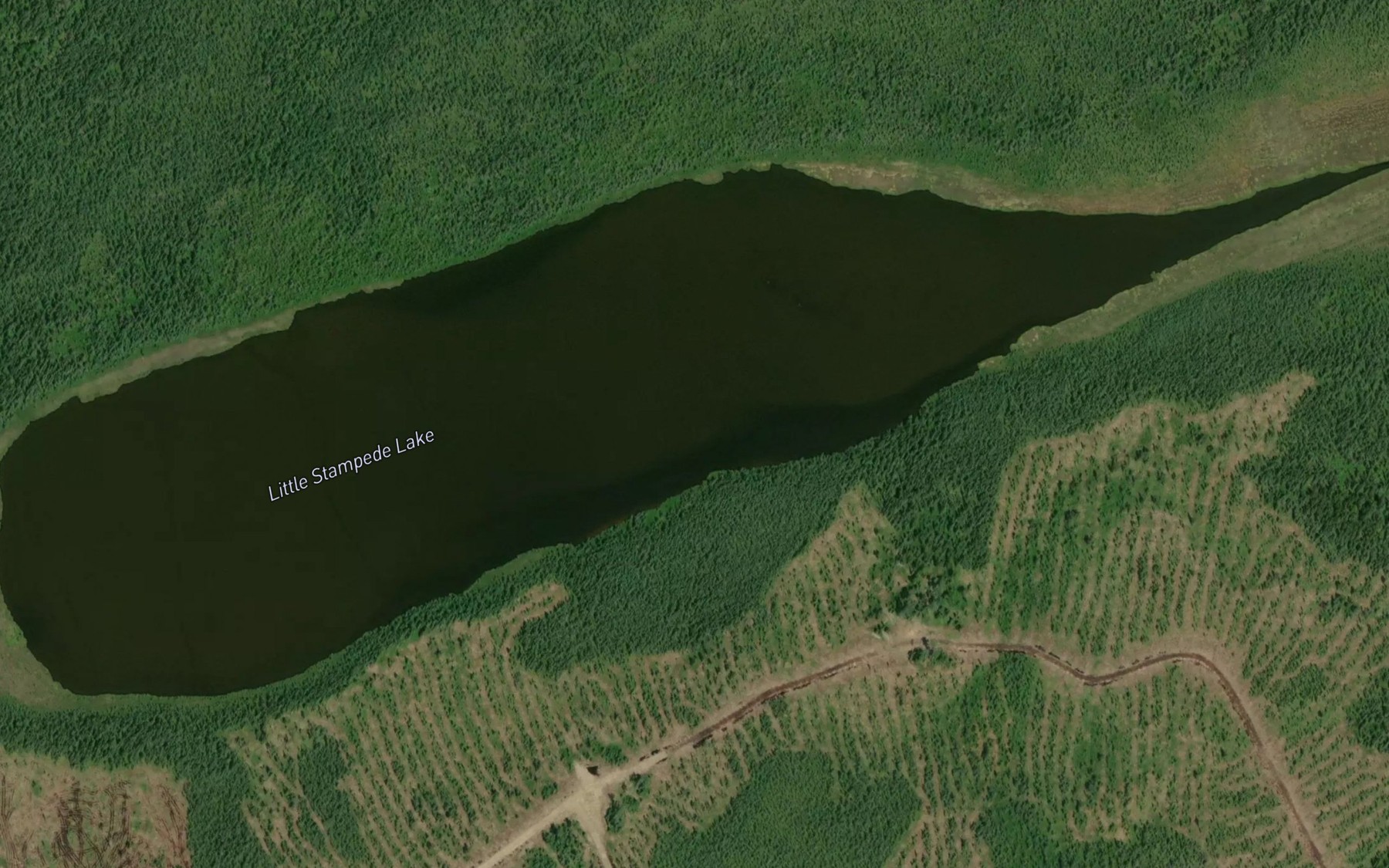 Satellite map of the Little Stampede Lake