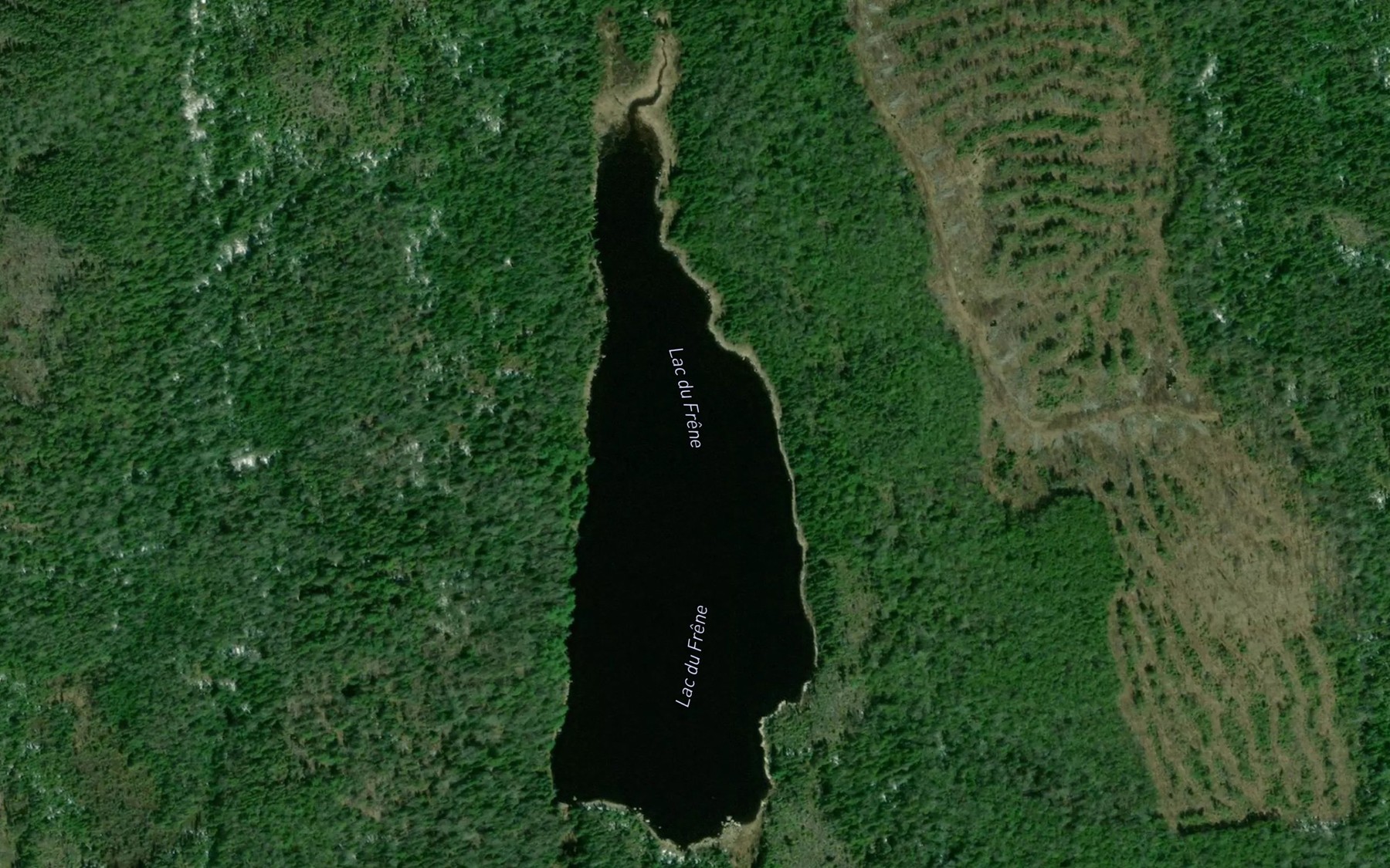 Satellite map of the Lac du Frene