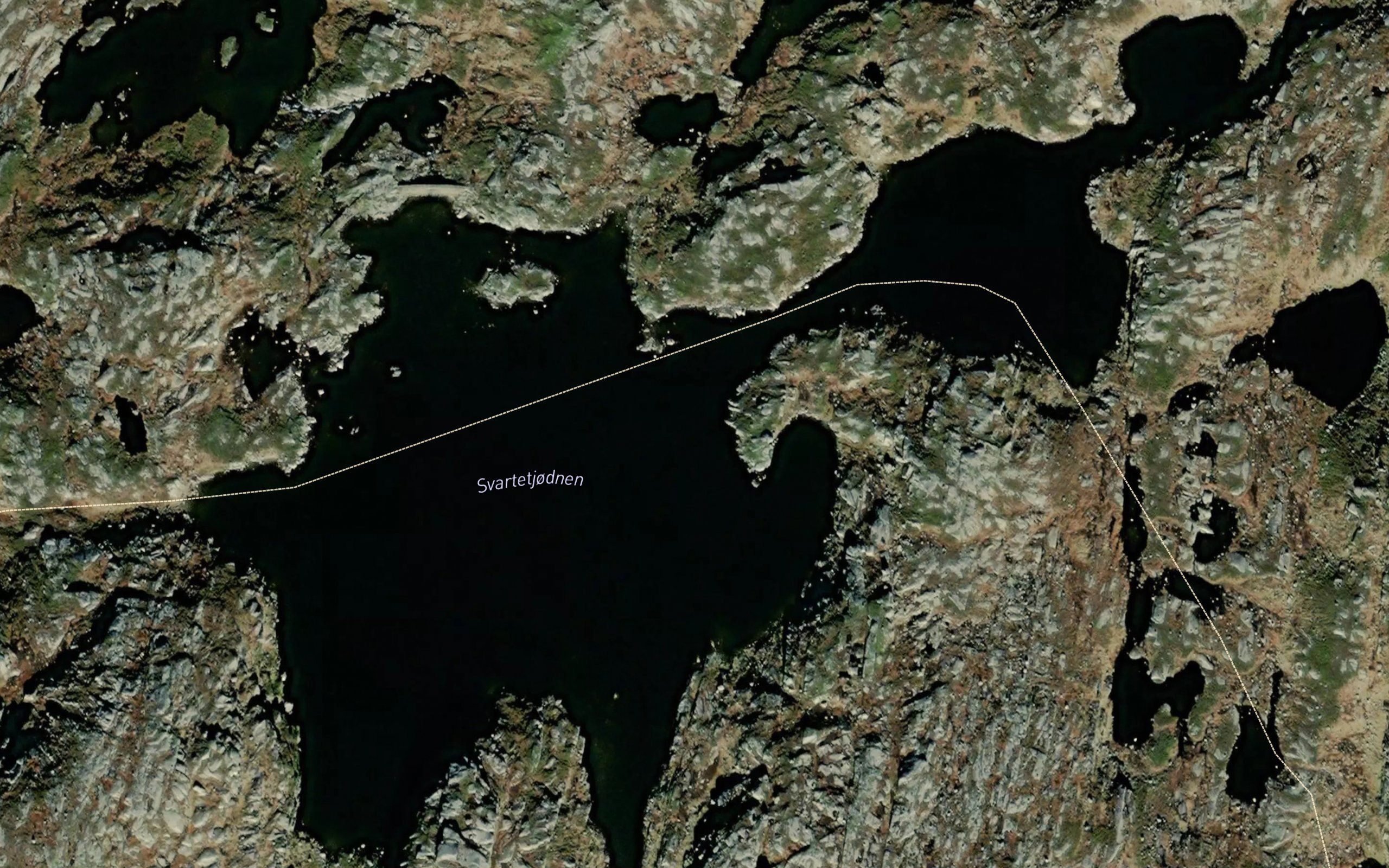 Svartetjodnen