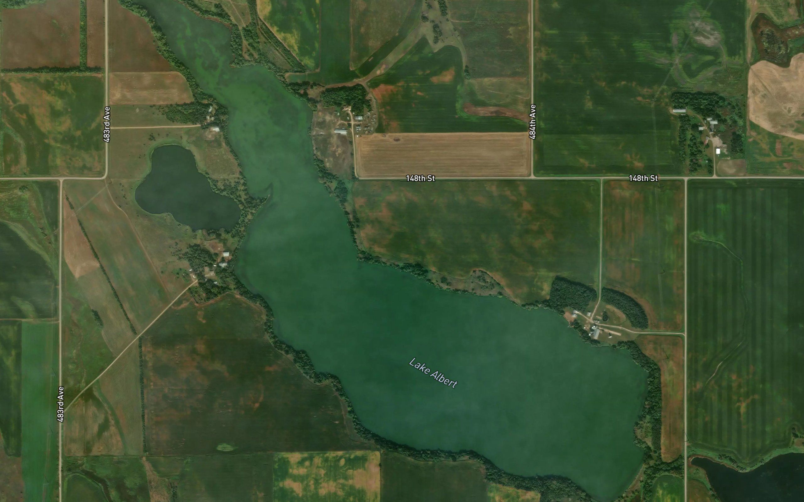 Lake Albert