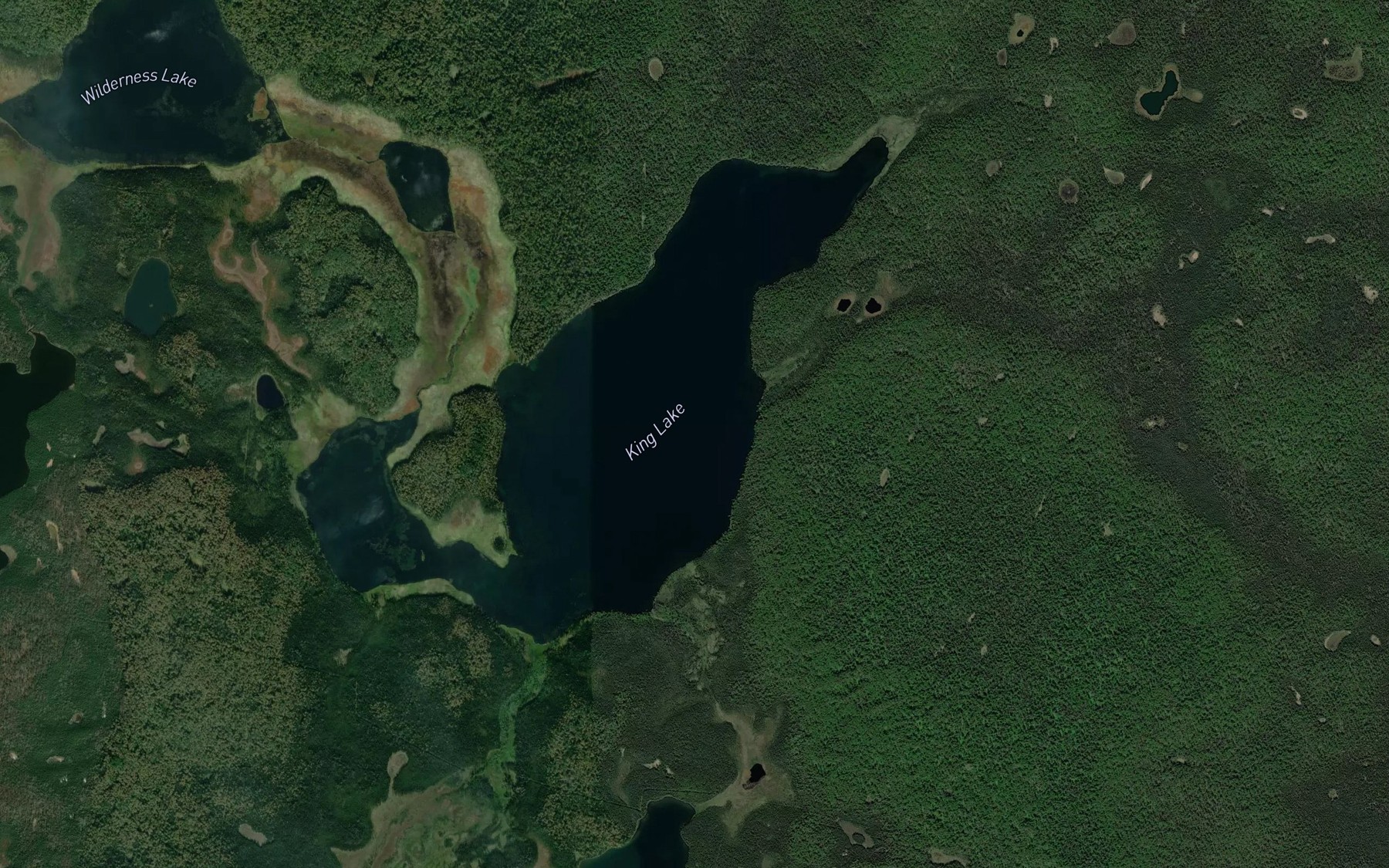 Satellite map of the King Lake