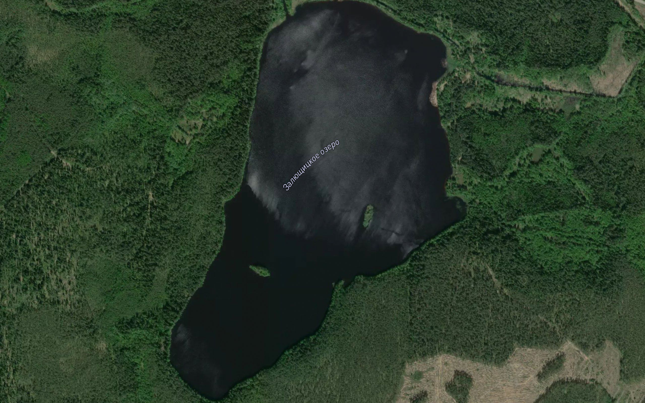 Ozero Zalyushchitskoye