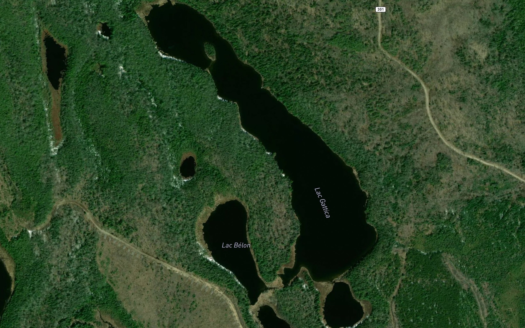 Satellite map of the Lac Gattica