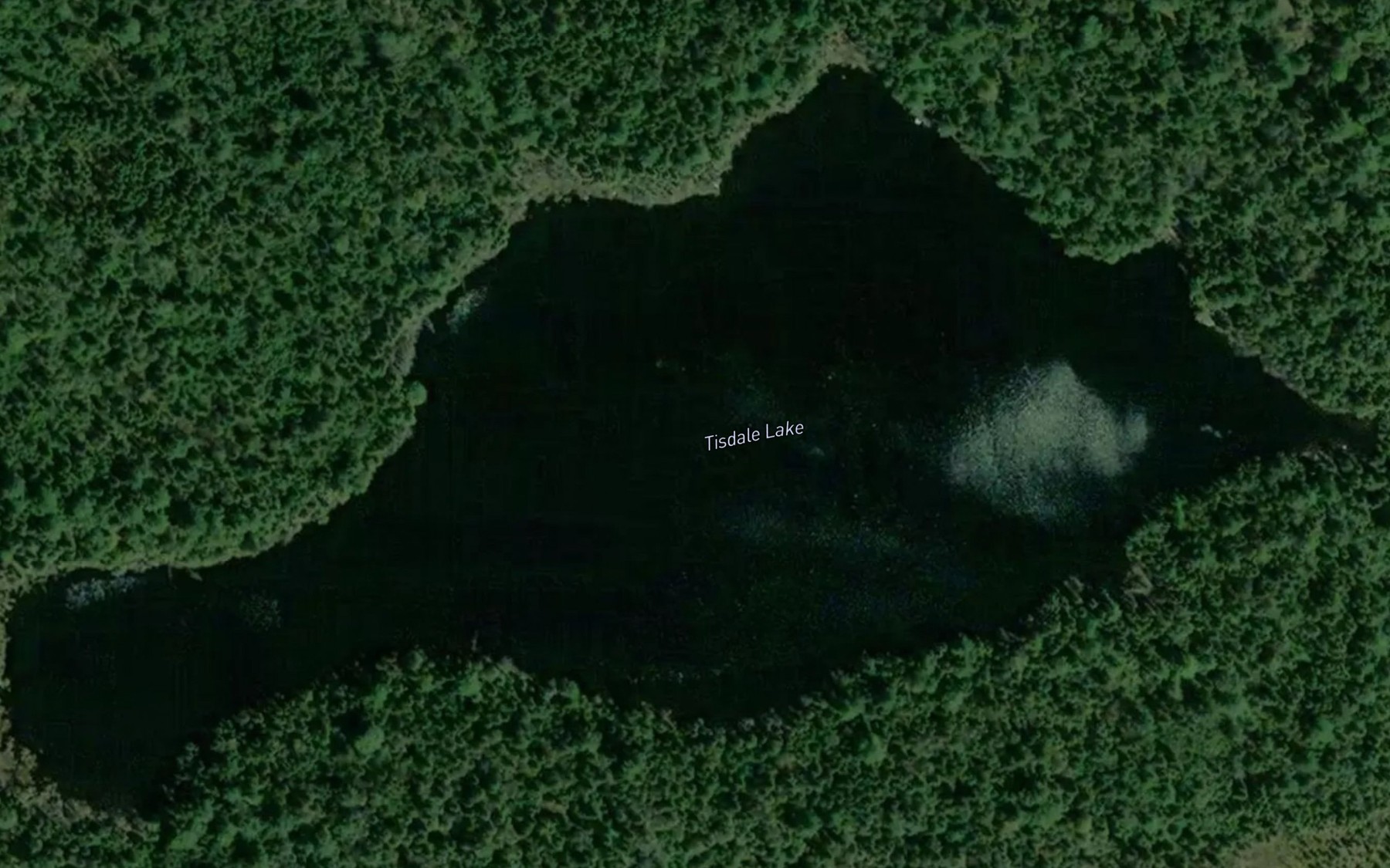 Satellite map of the Tisdale Lake