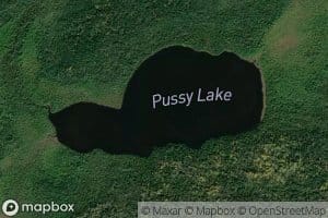 Pussy Lake