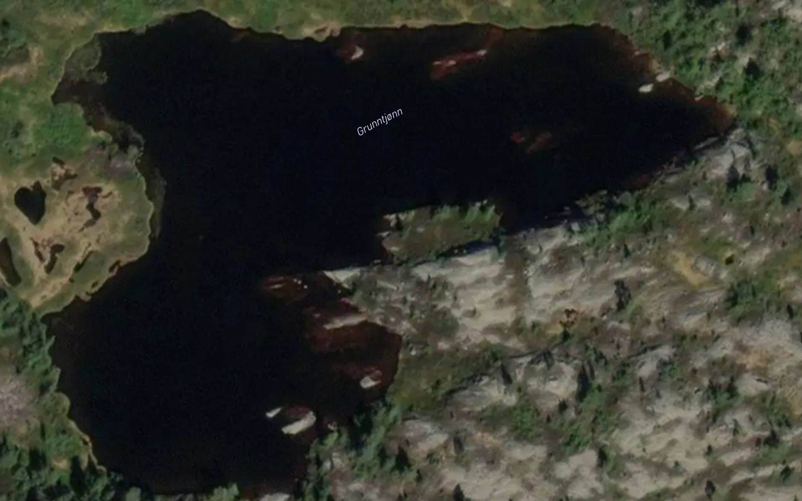 Grunntjorn