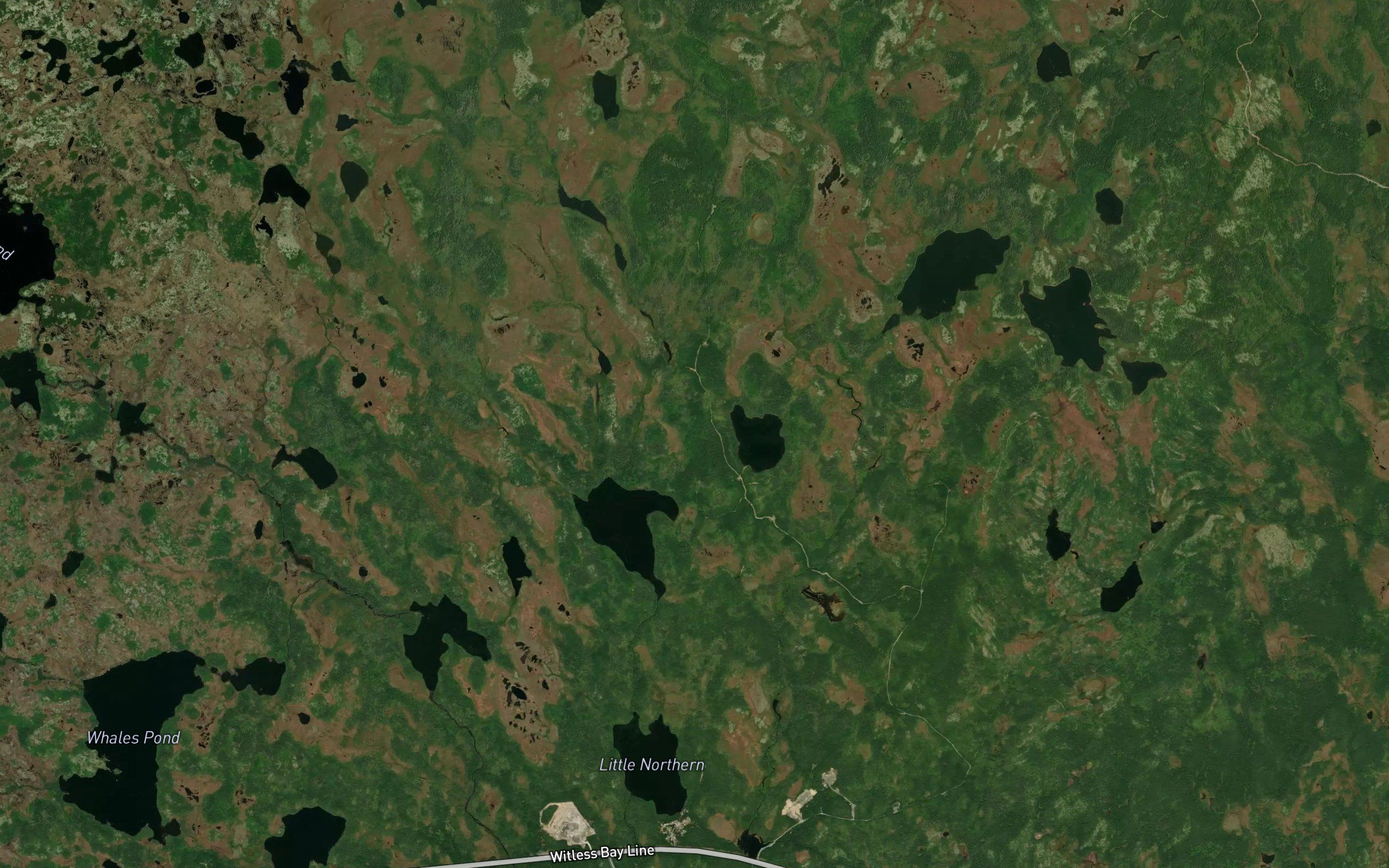 Big Northern