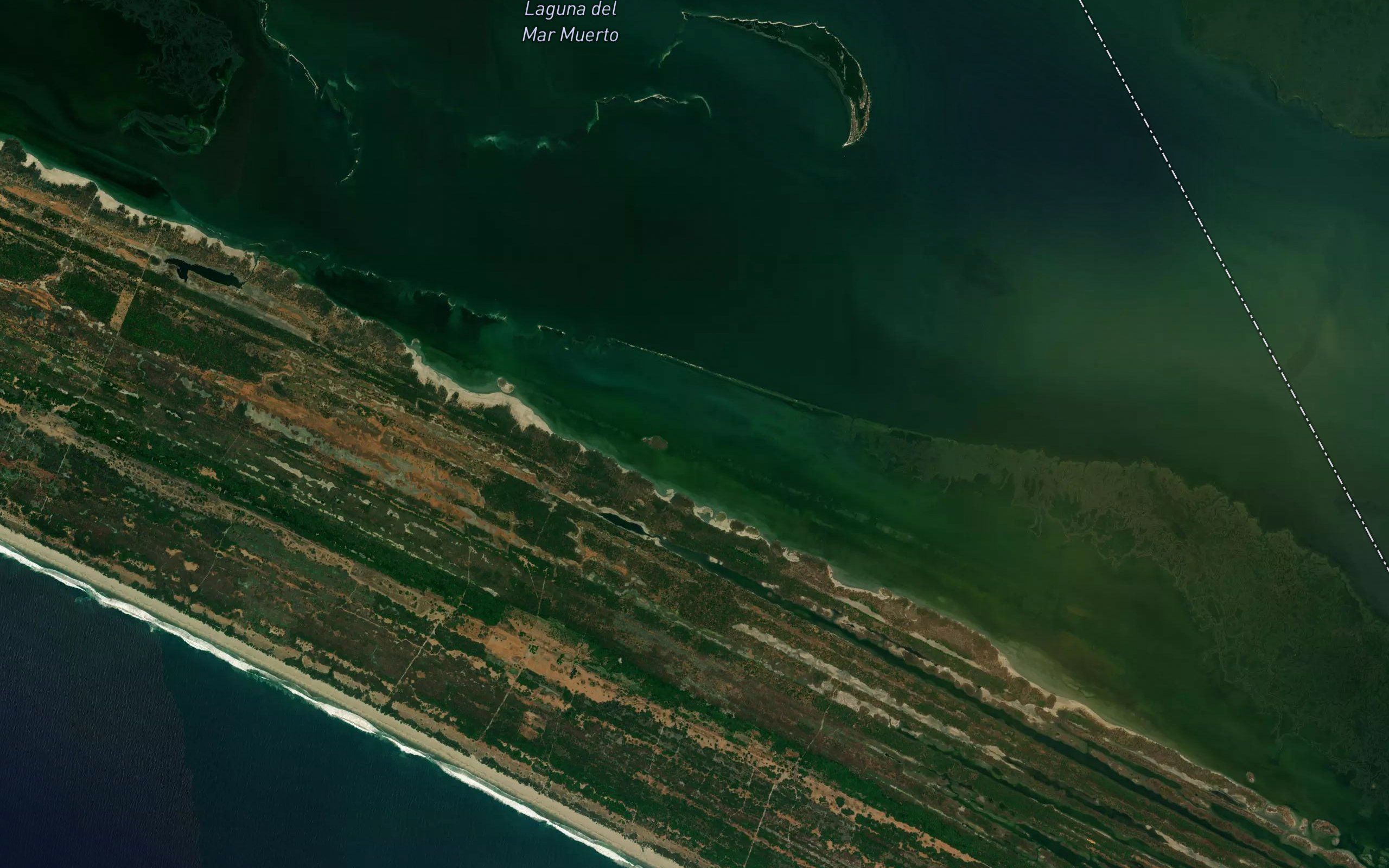 Laguna Mapachito