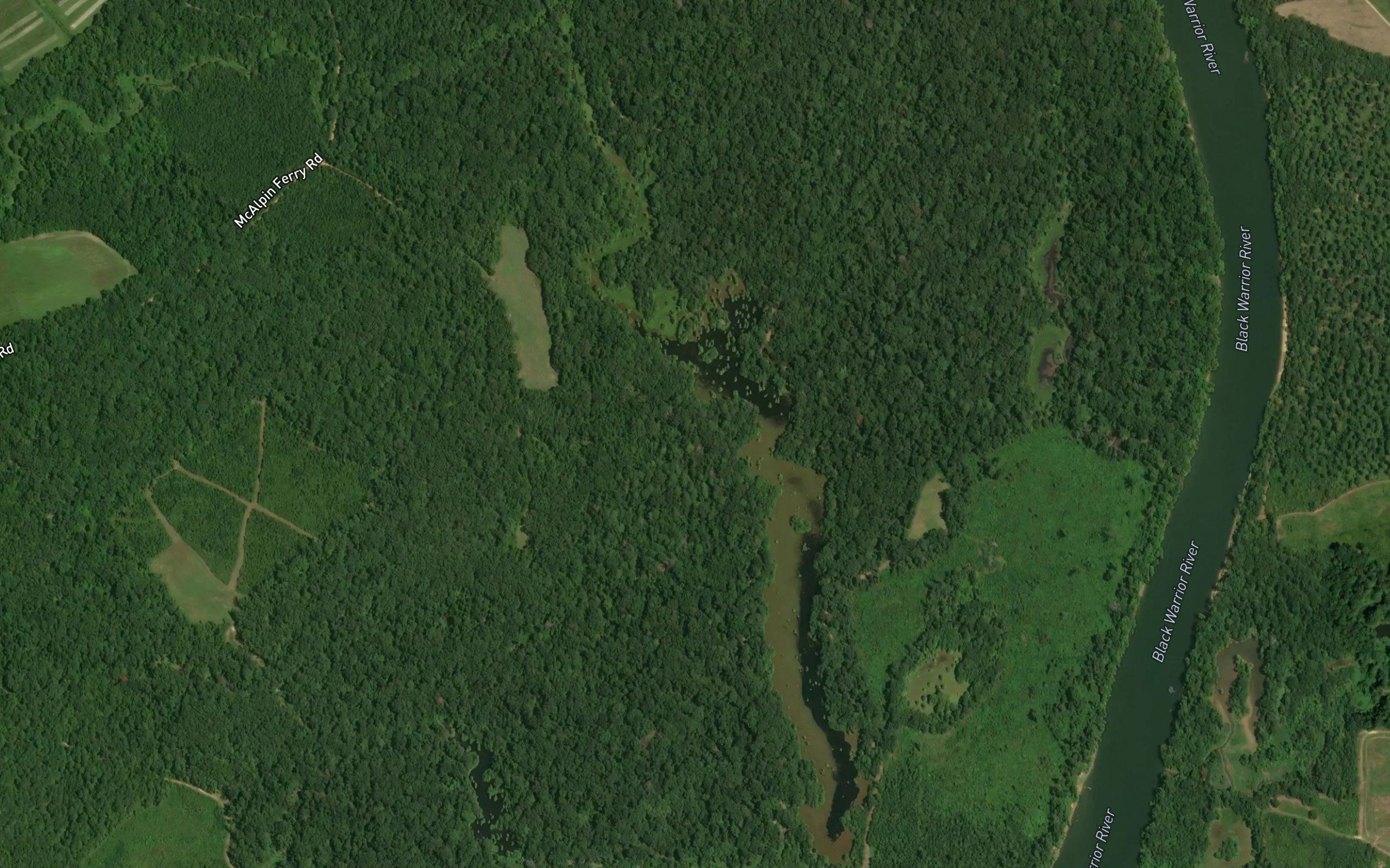 Dollarhide Hunting Lake