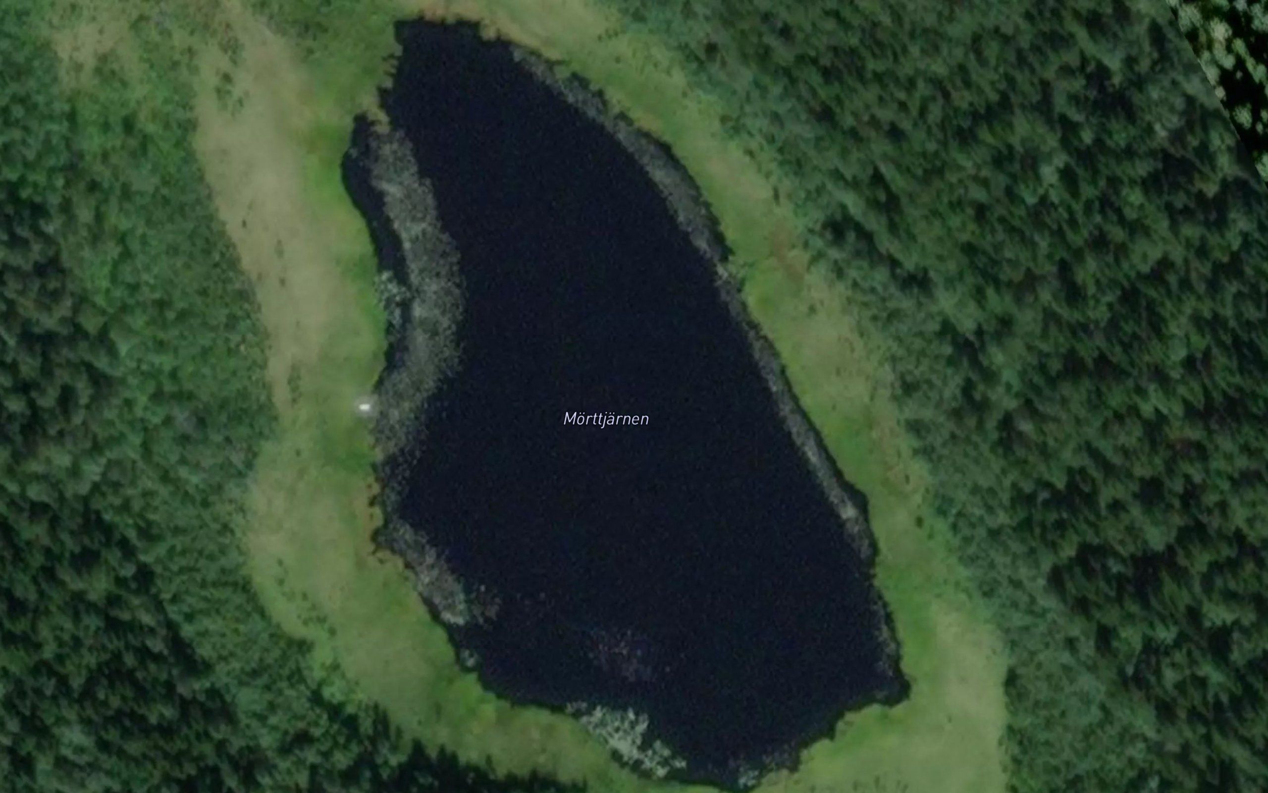 Moerttjaernen