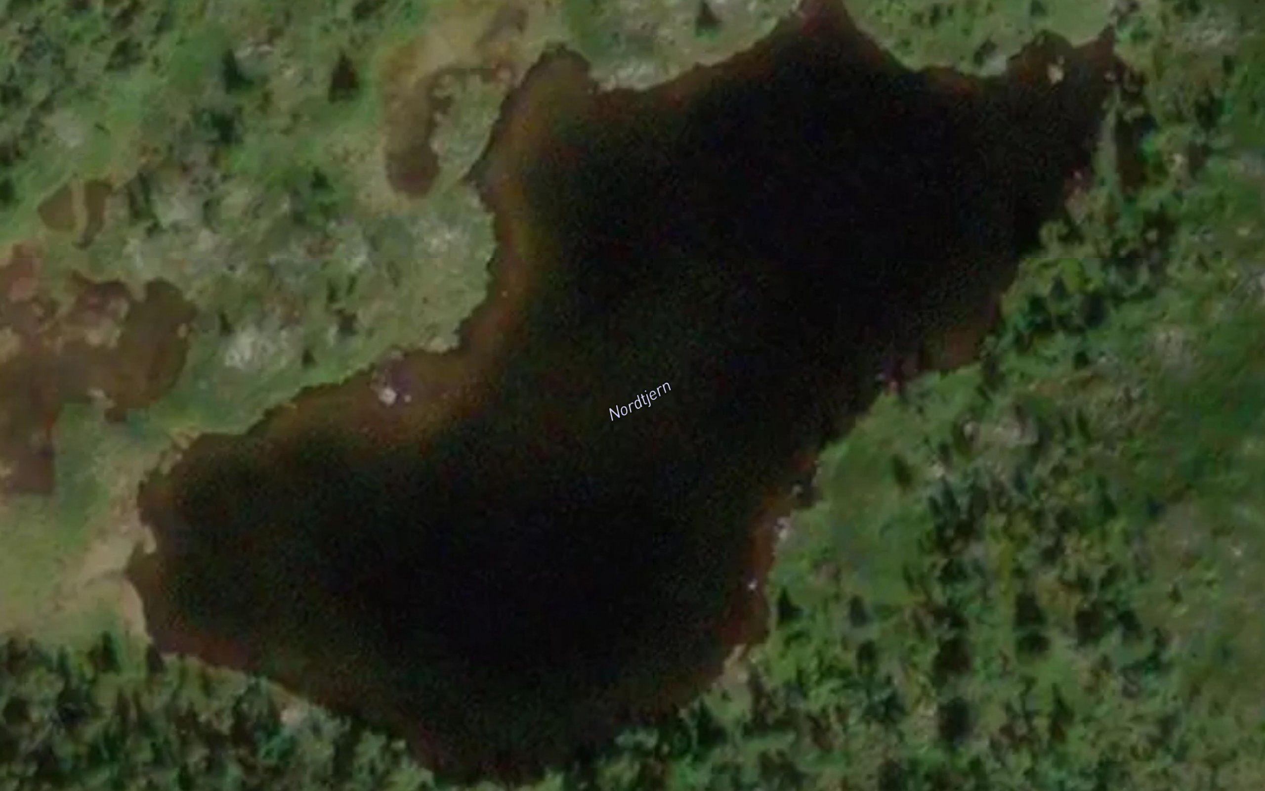 Nordtjern
