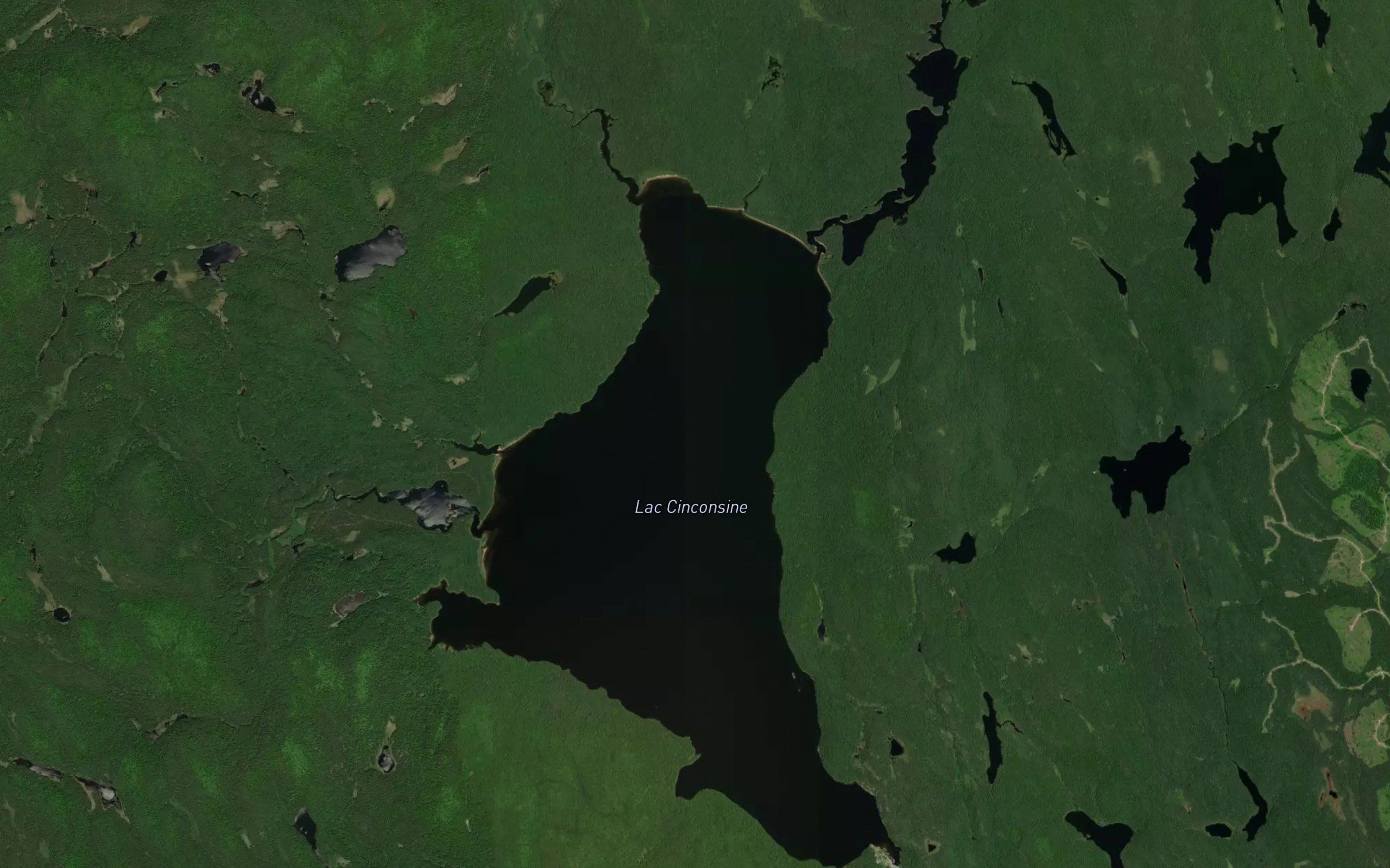 Lac Cinconsine