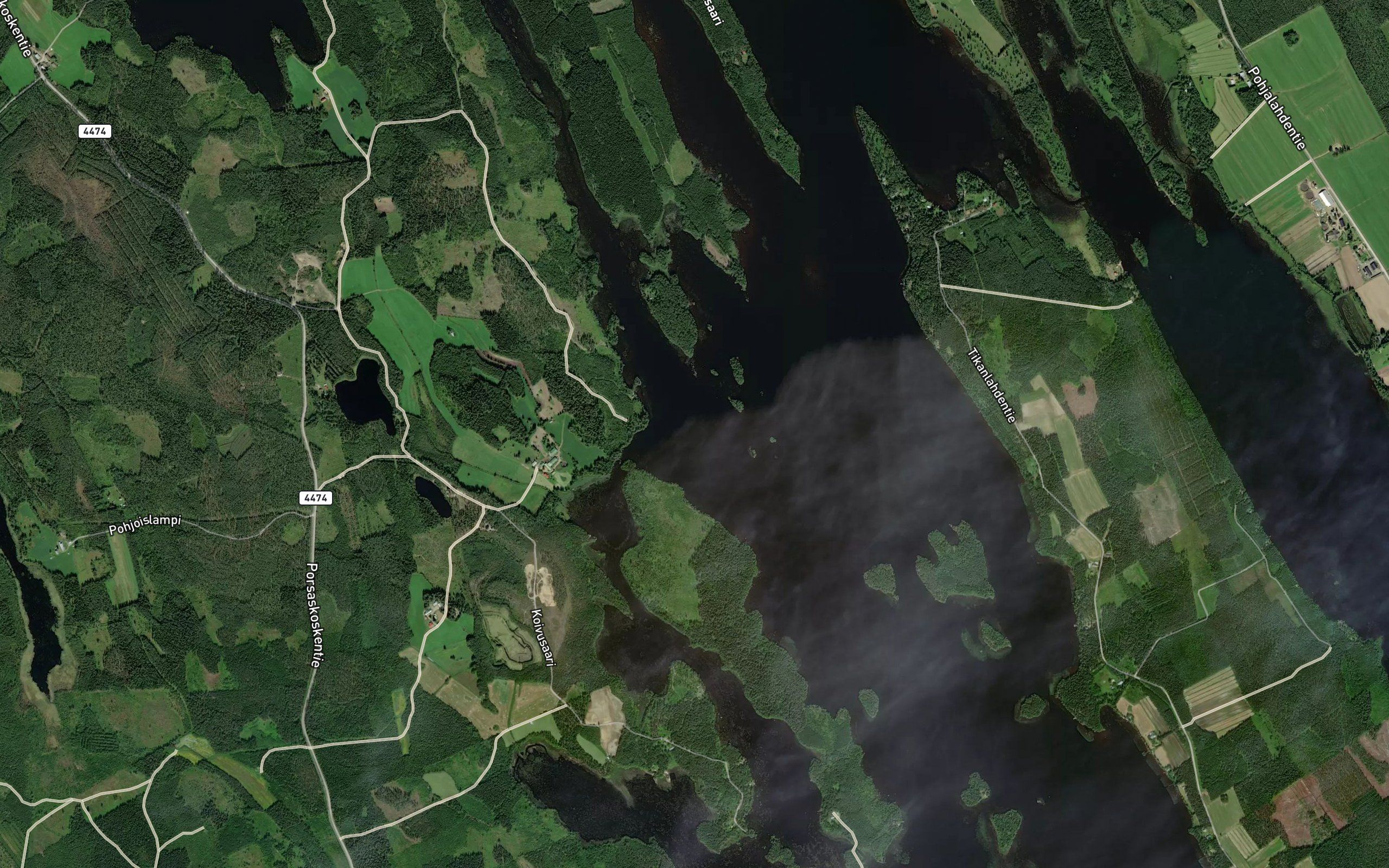 Hakolatvanselka