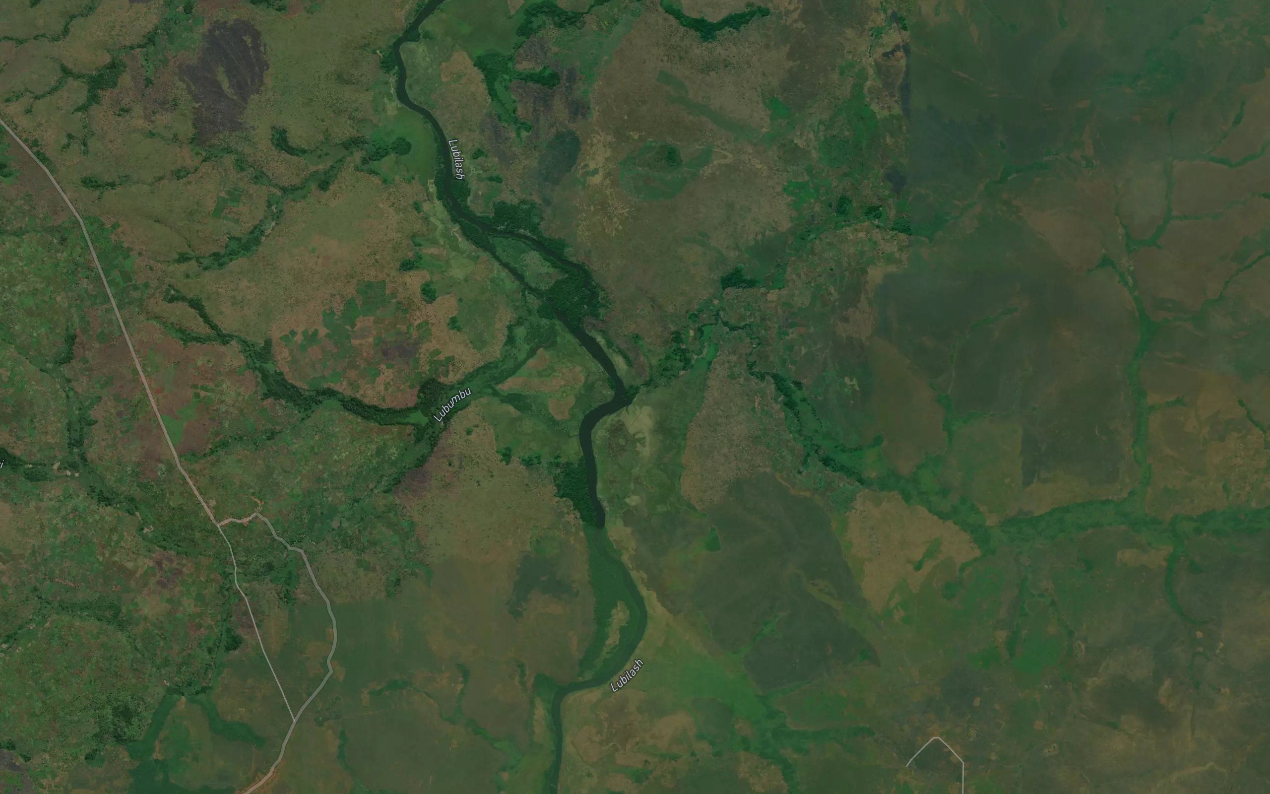Kasengai