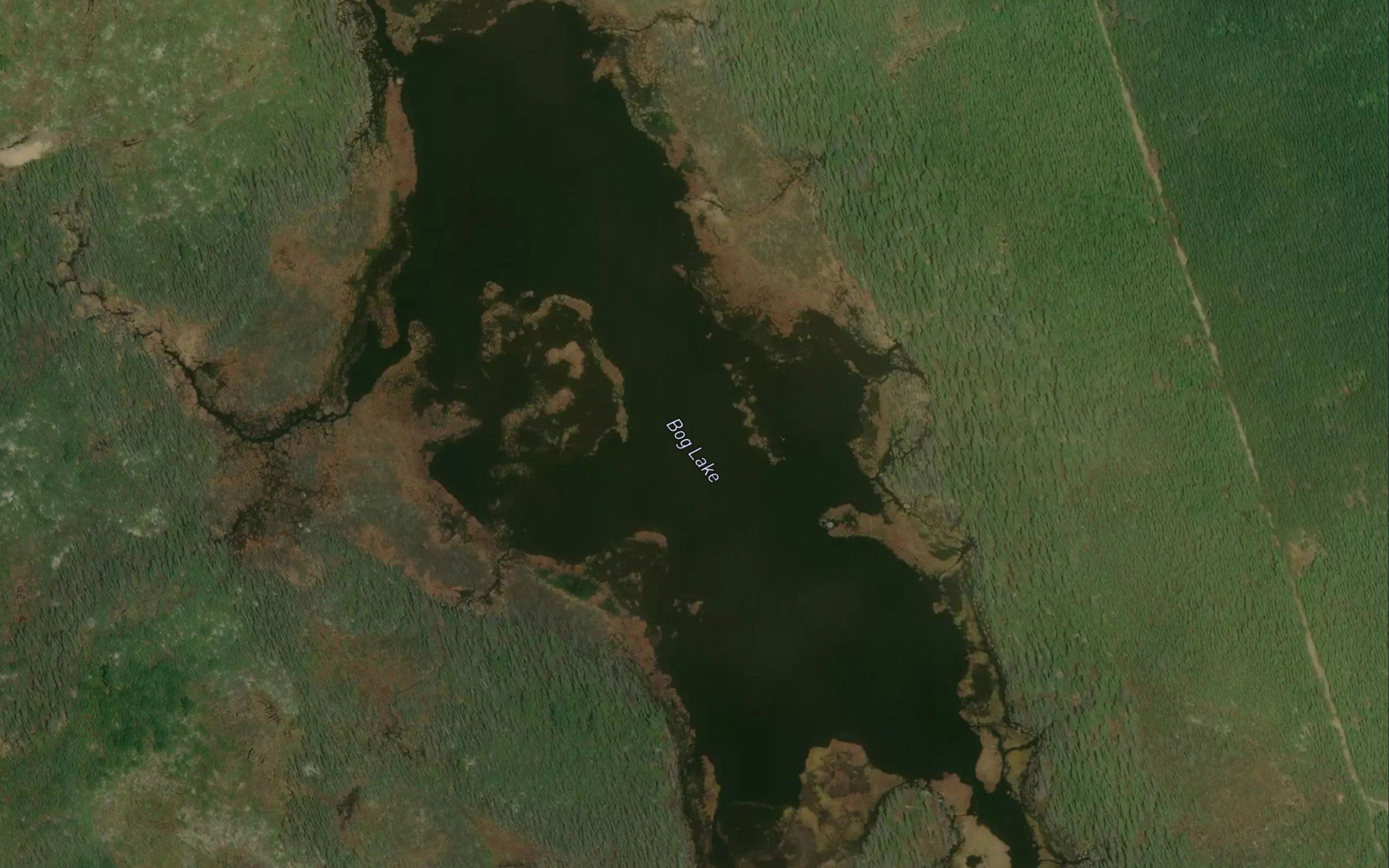 Bog Lake