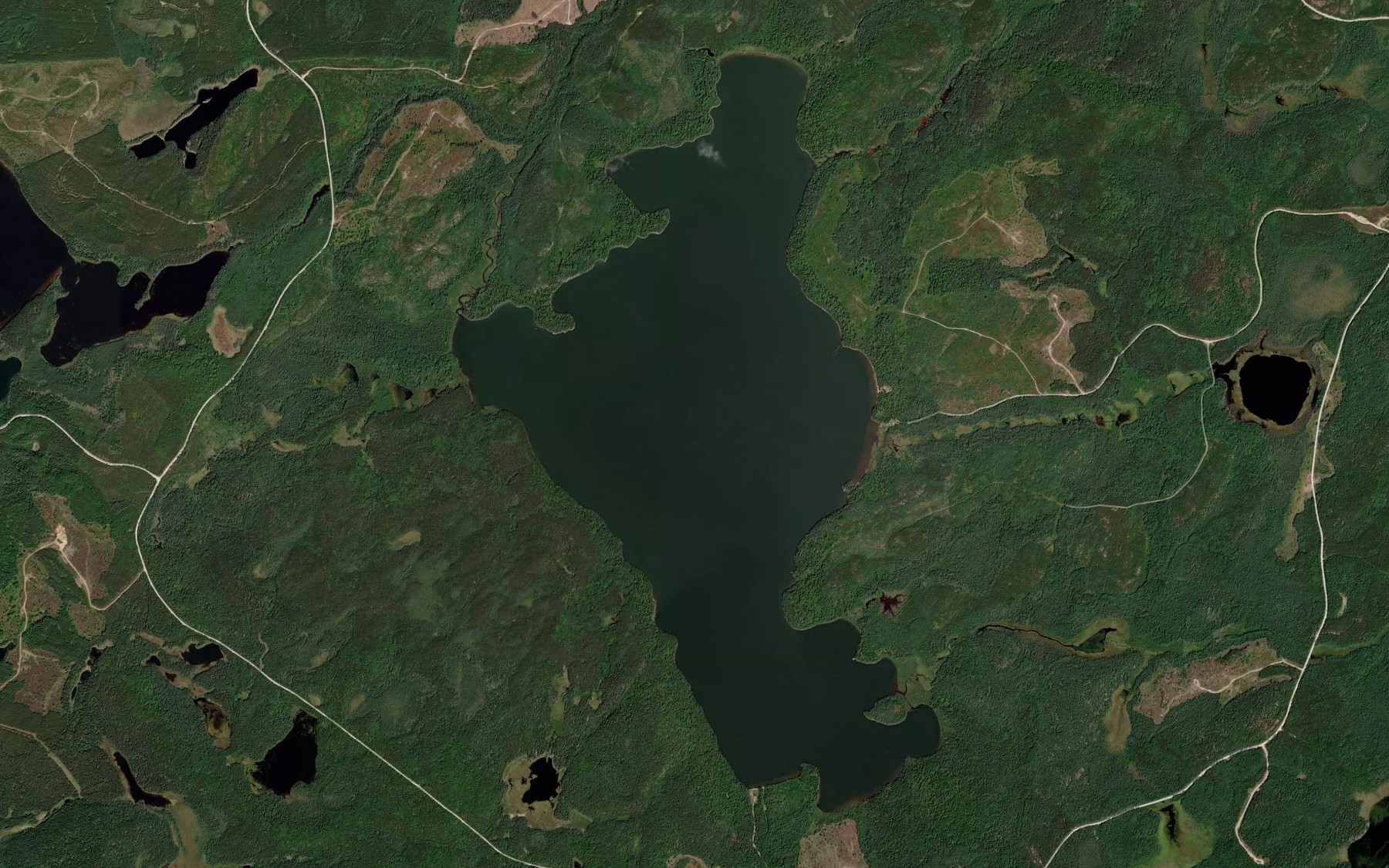 Satellite map of the Suzanne Lake